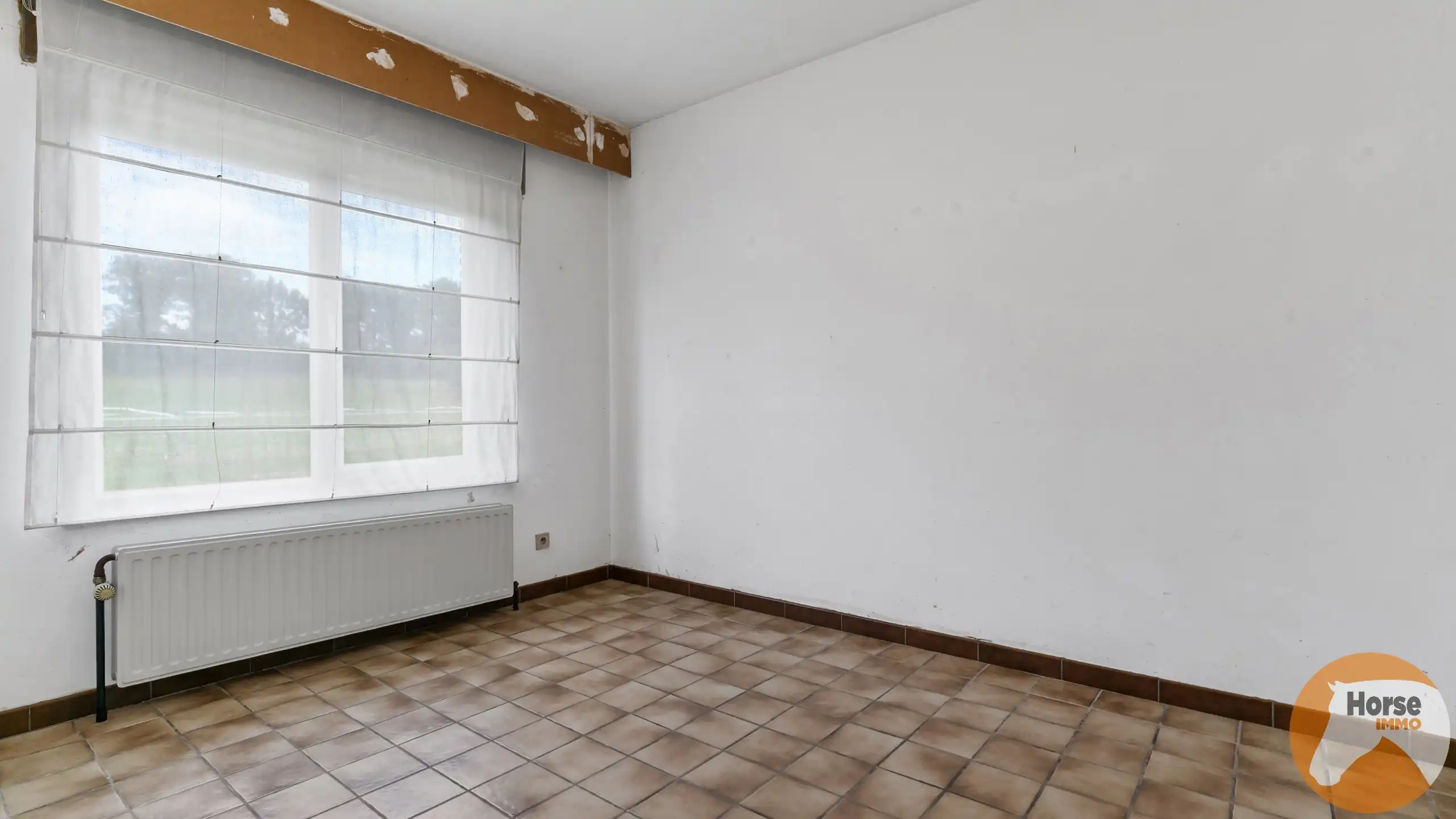 SCHAFFEN - Landbouwwoning op +/- 4,2 ha en paardenstalling foto 22