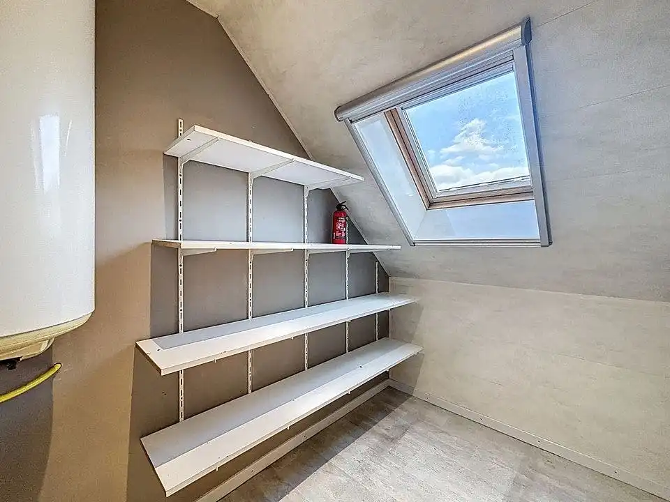 Handelshuis, omheind terras en garage te koop Rijkevorsel  foto 12