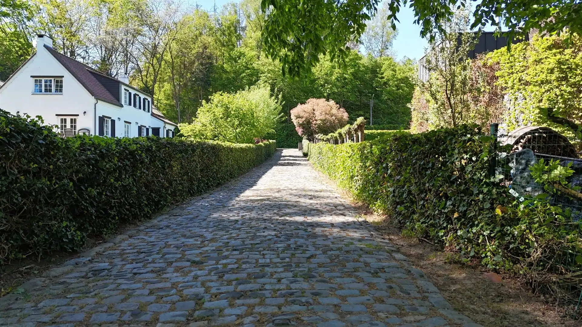 Charmante villa gelegen aan de rand van het Zoniënwoud foto 36