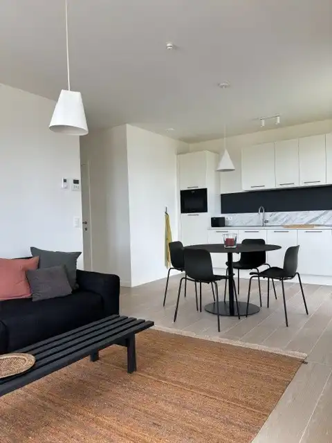 Gemeubeld nieuwbouwappartement met 2 slaapkamers, terras en fietsenberging. foto 17