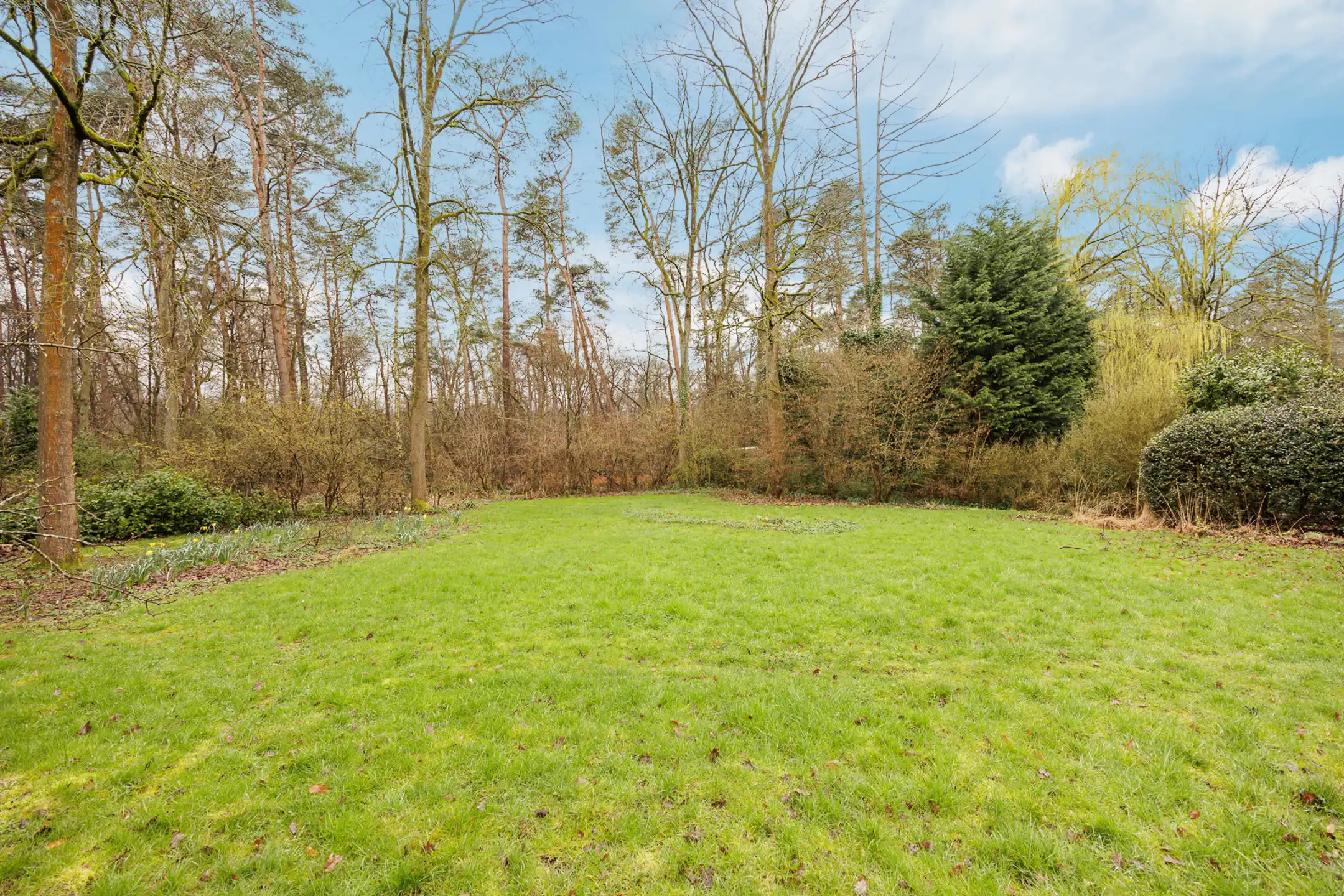 Stijlvolle pastorijvilla met 6 slaapkamers en prachtige tuin foto 8
