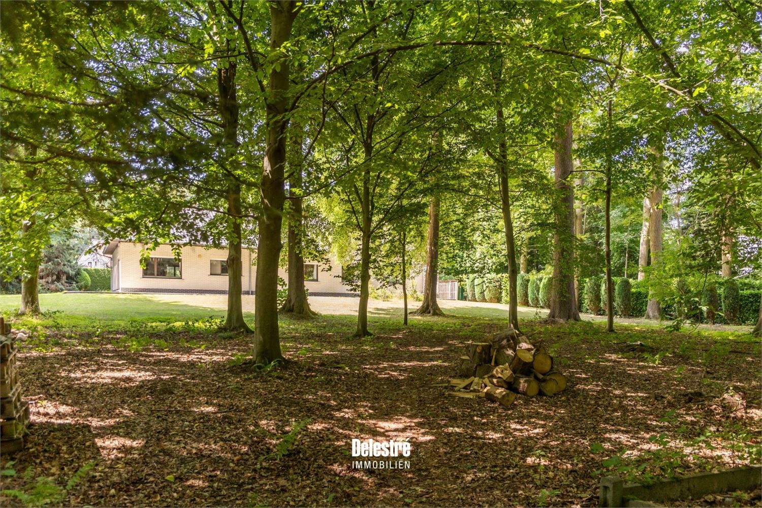 TIJDLOZE VILLA OP 3.317 M2 BOIS DE STRIHOUX foto 7