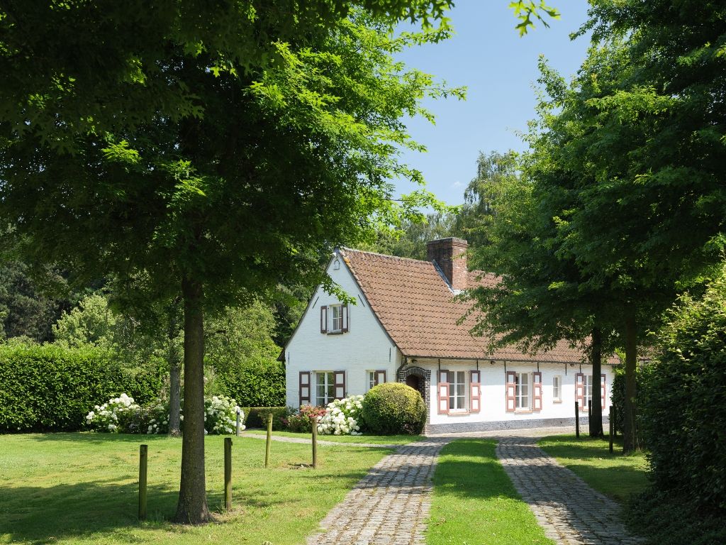 Destelbergen. Op te frissen woning in hoevestijl met aanhorigheden, gelegen op een bijzonder ruim perceel (4.783 m2) omgeven door groen. foto 3