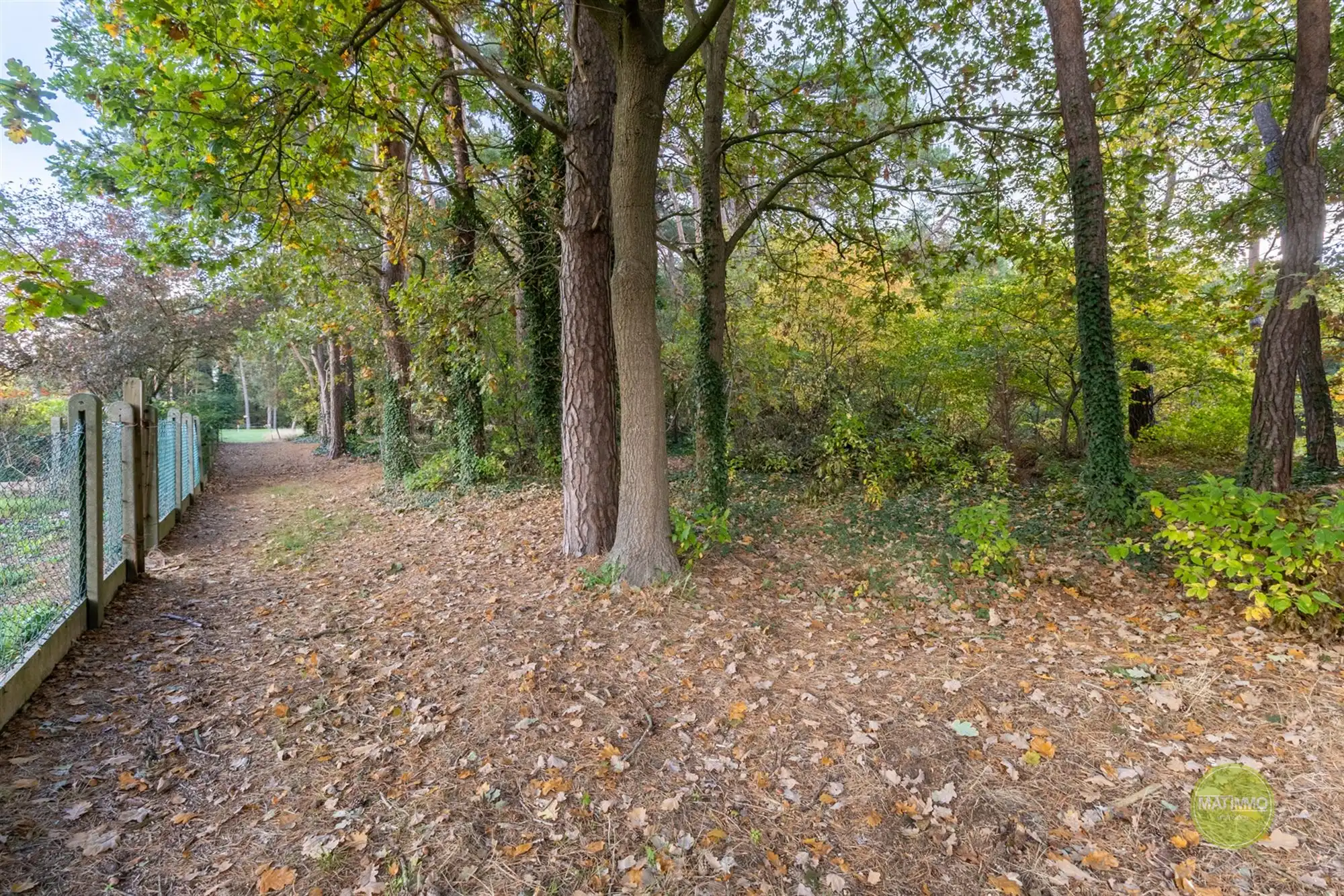 Te renoveren langgevelhoeve met karakter in Balen foto 4