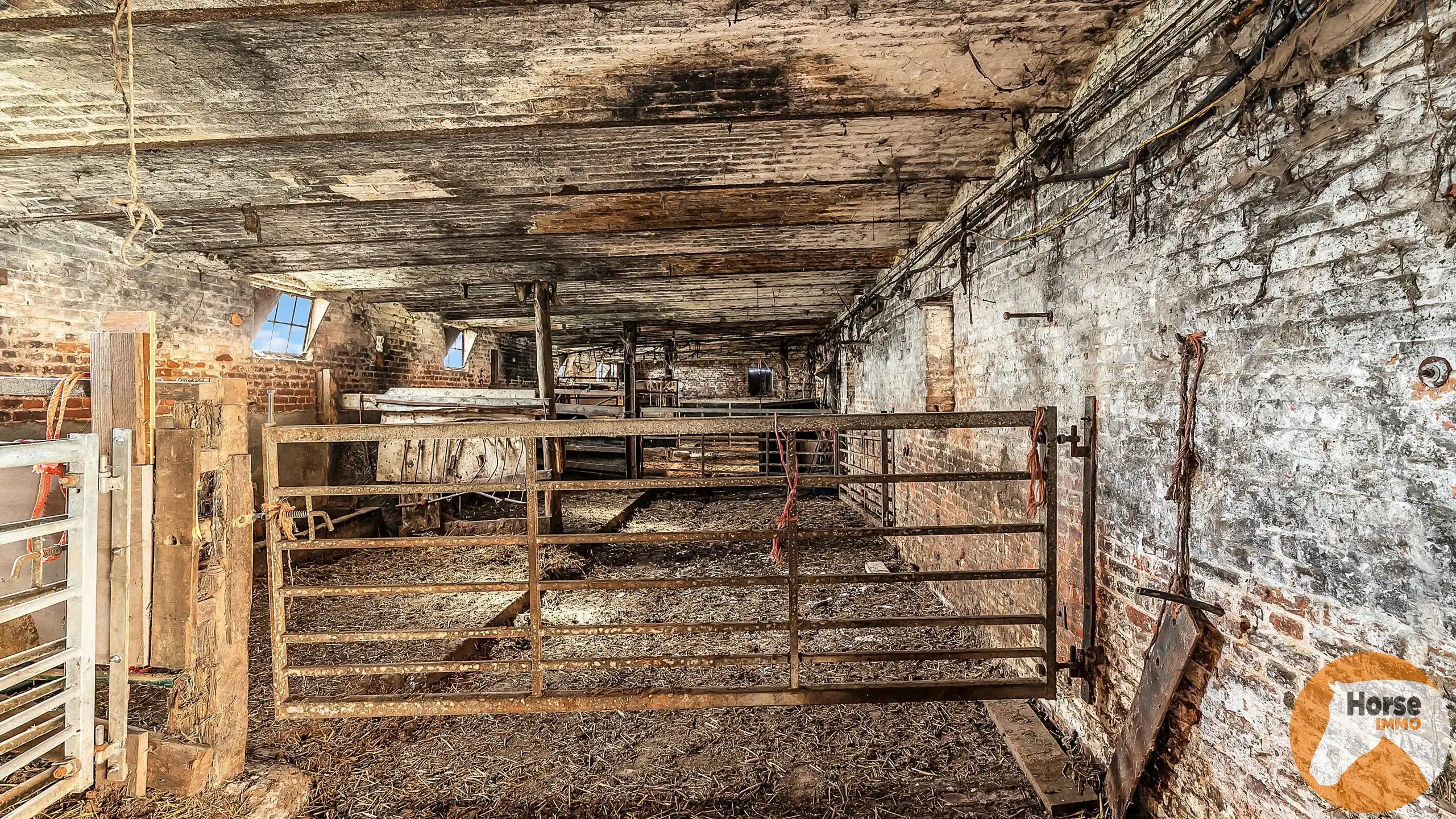 MAARKEDAL - Vierkantshoeve 1,7HA, extra grond mogelijk foto 16