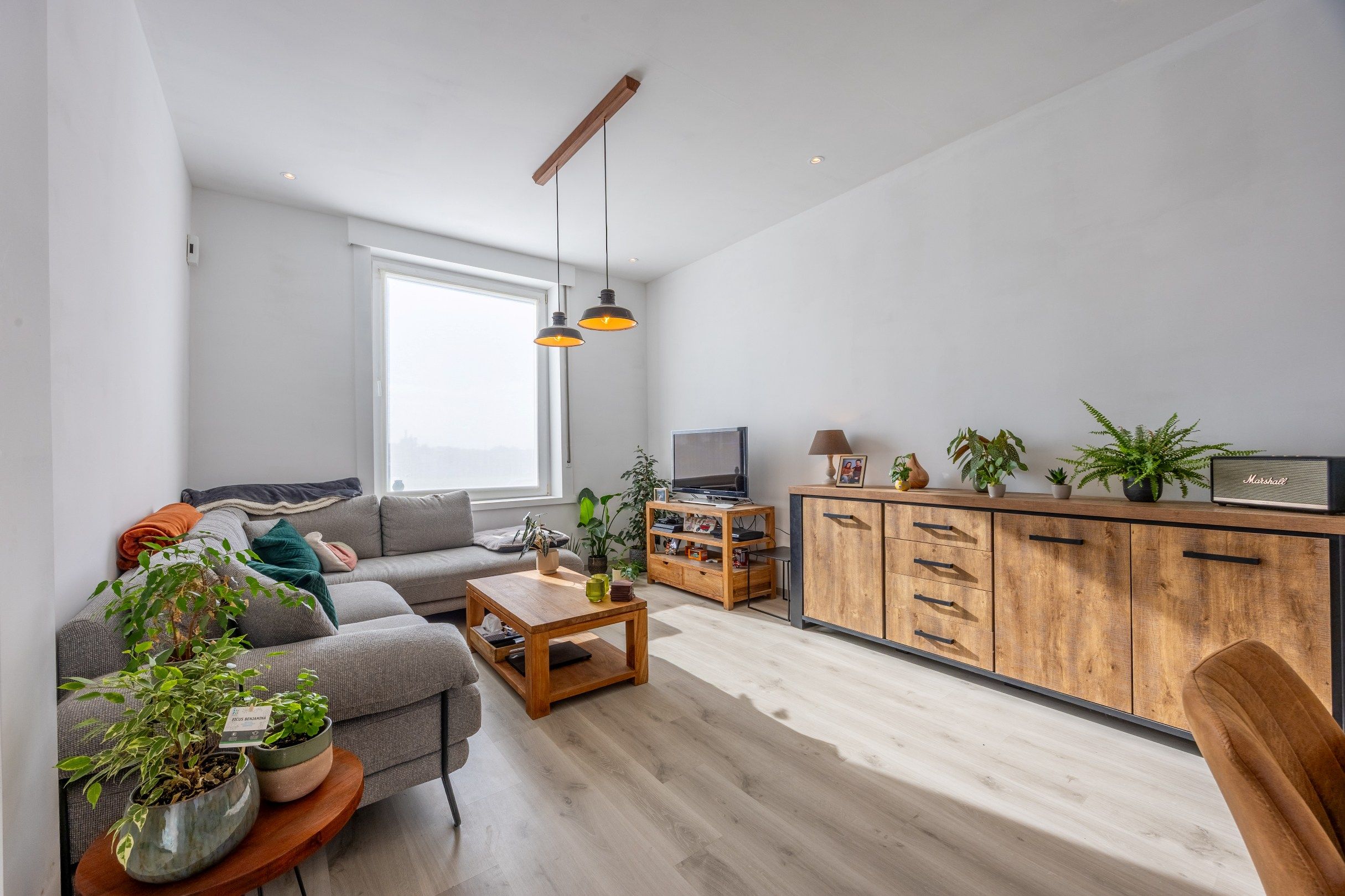 VERNIEUWDE WONING MET TUIN EN GARAGE foto 2