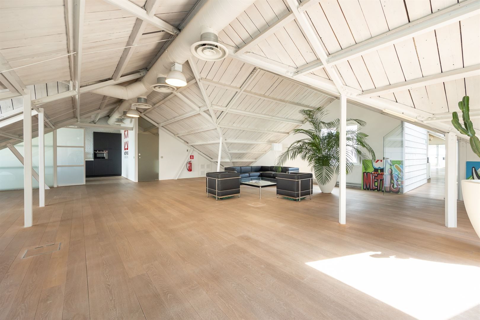 Loft met huge terras  foto 11