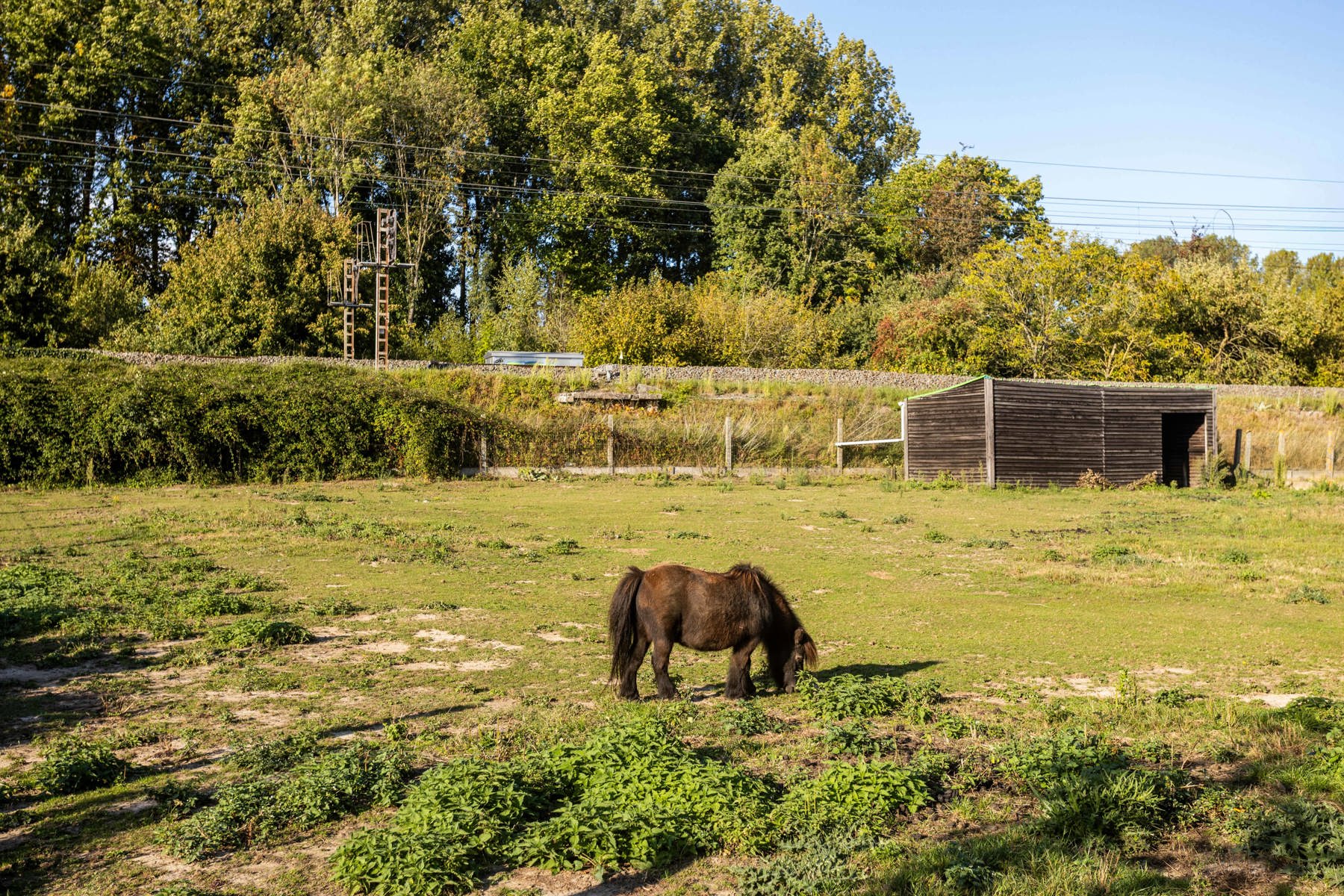 Ruime, instapklare gezinswoning met energiezuinige troeven foto 30