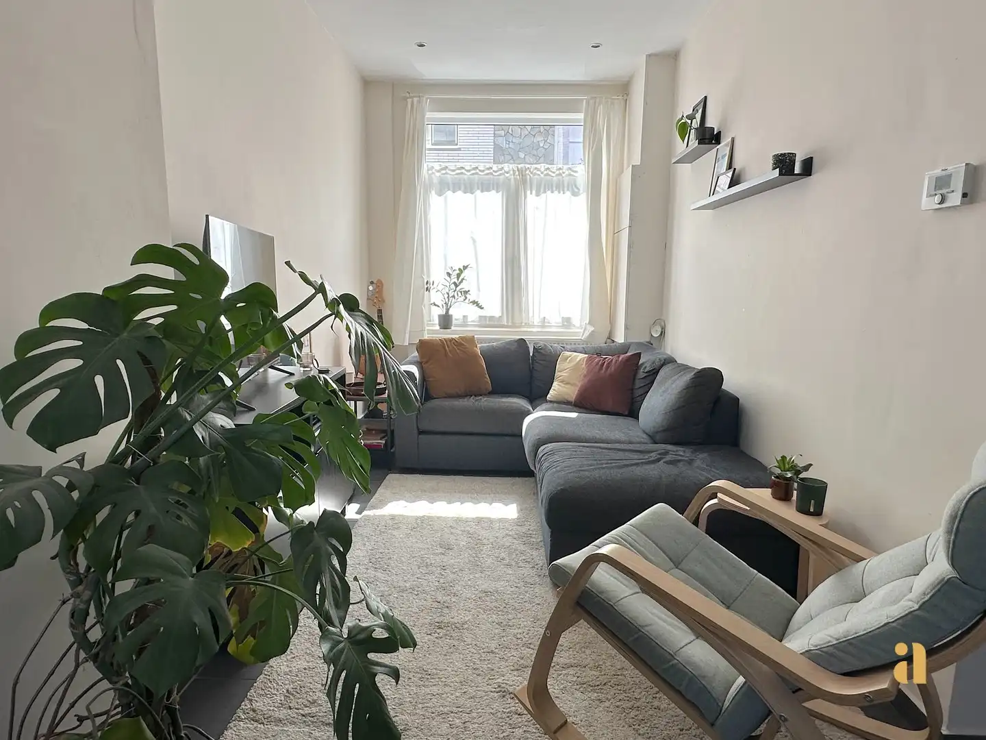 Tuinplezier Alert: onmiddellijk beschikbaar! foto 3