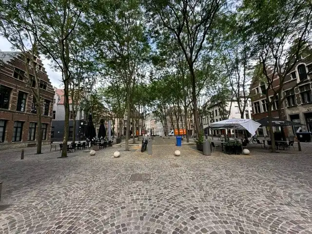 Gerenoveerd gelijkvloers appartement met 1 slaapkamer in een mooi herenhuis foto 12