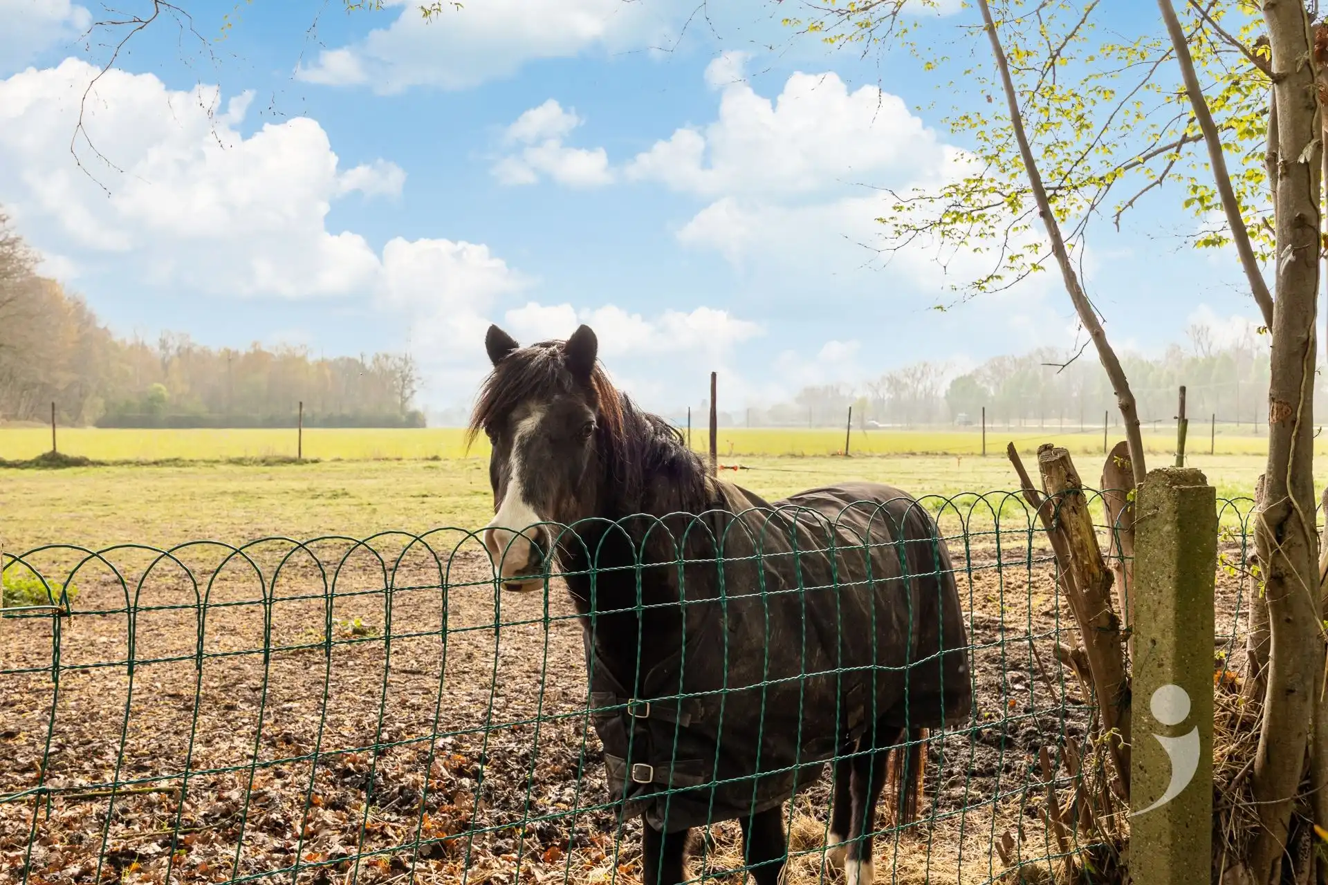 Charmante gezinswoning met uitzonderlijke tuin en weids uitzicht  foto 38