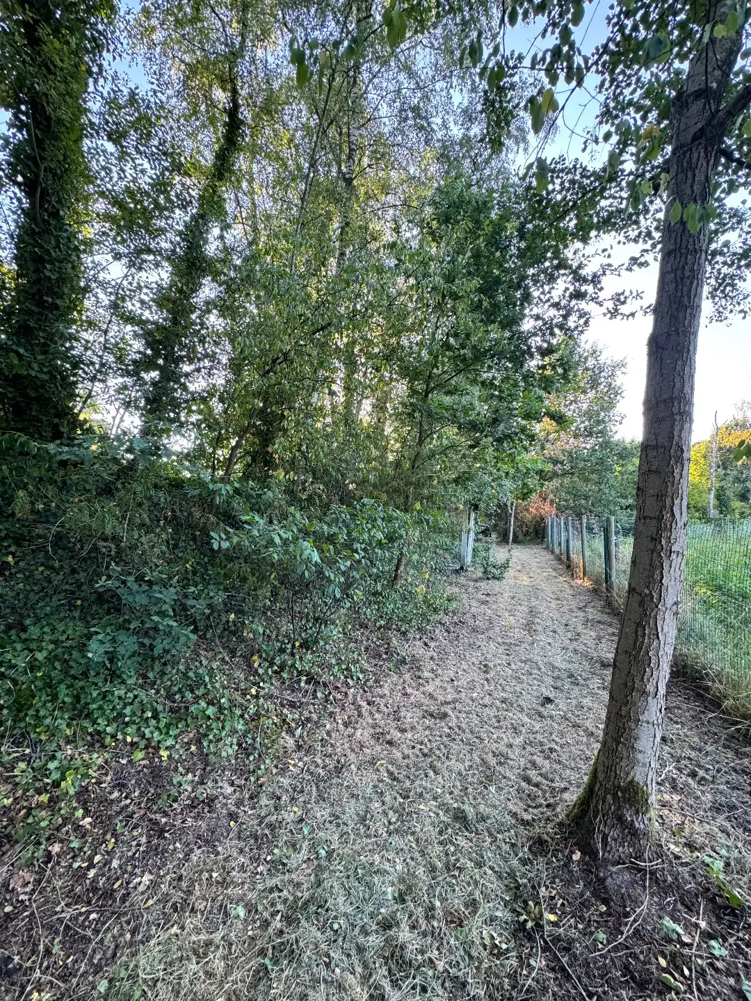 Vakantieverblijf met grote privé visvijver te Balen  foto 35