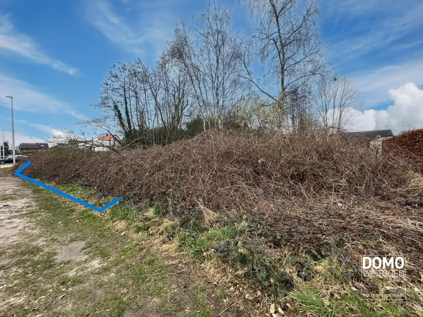 BOUWGROND MET EEN OPPERVLAKTE VAN 5A56 VOOR OPEN BEBOUWING TE KOOP IN LEOPOLDSBURG  foto 3