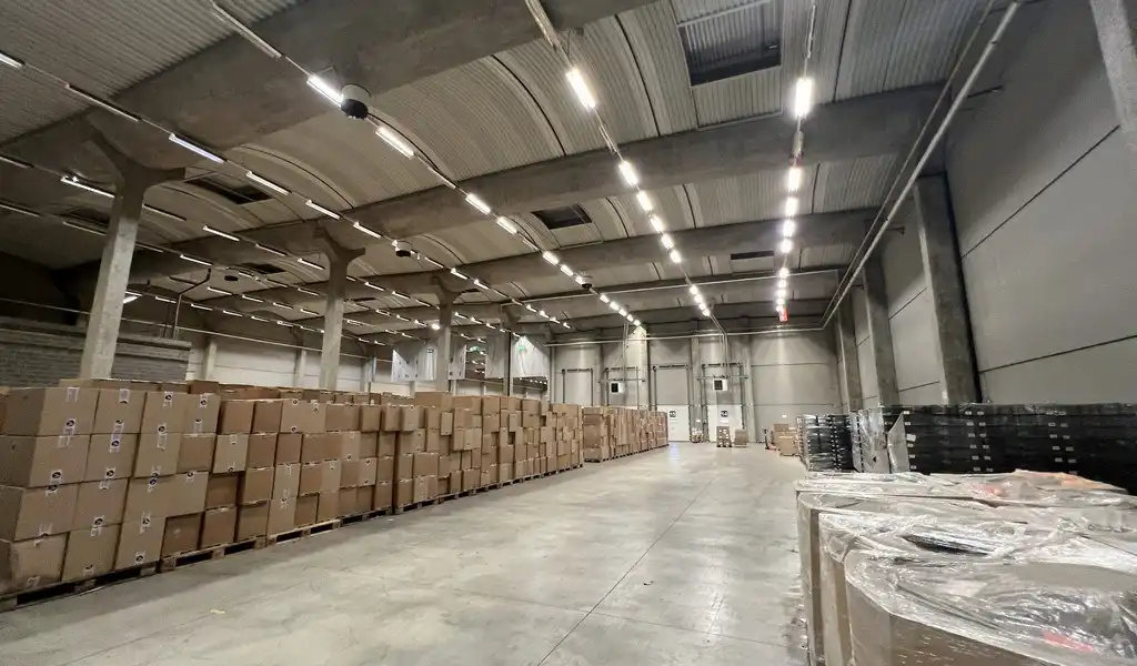 Logistieke loodsen met laadkades vlakbij R42 in Sint-Niklaas foto 5