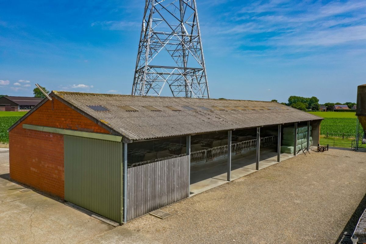 Hoeve met gronden te koop te Kinrooi foto 9