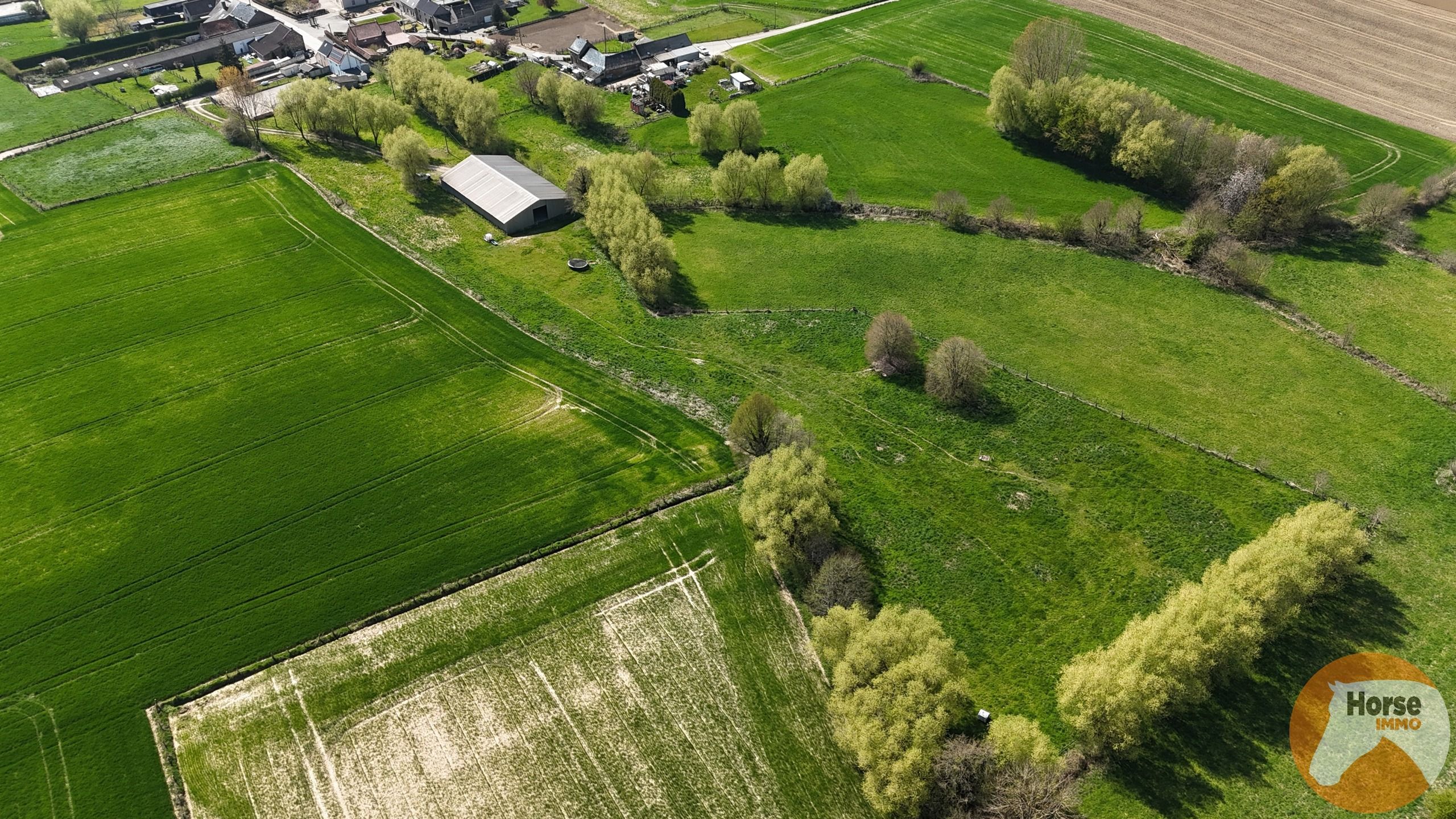 TOLLEMBEEK - Weide met loods op rustige locatie foto 5