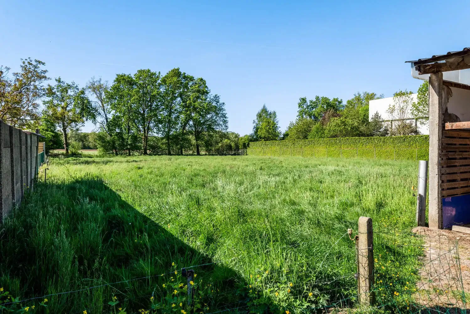 Ruime te renoveren woning met achterliggend weiland (4042m²) te Oelegem! foto 20