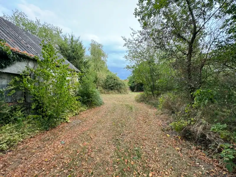 Ruime langgevelhoeve op 29a13 met veel potentieel! foto 7