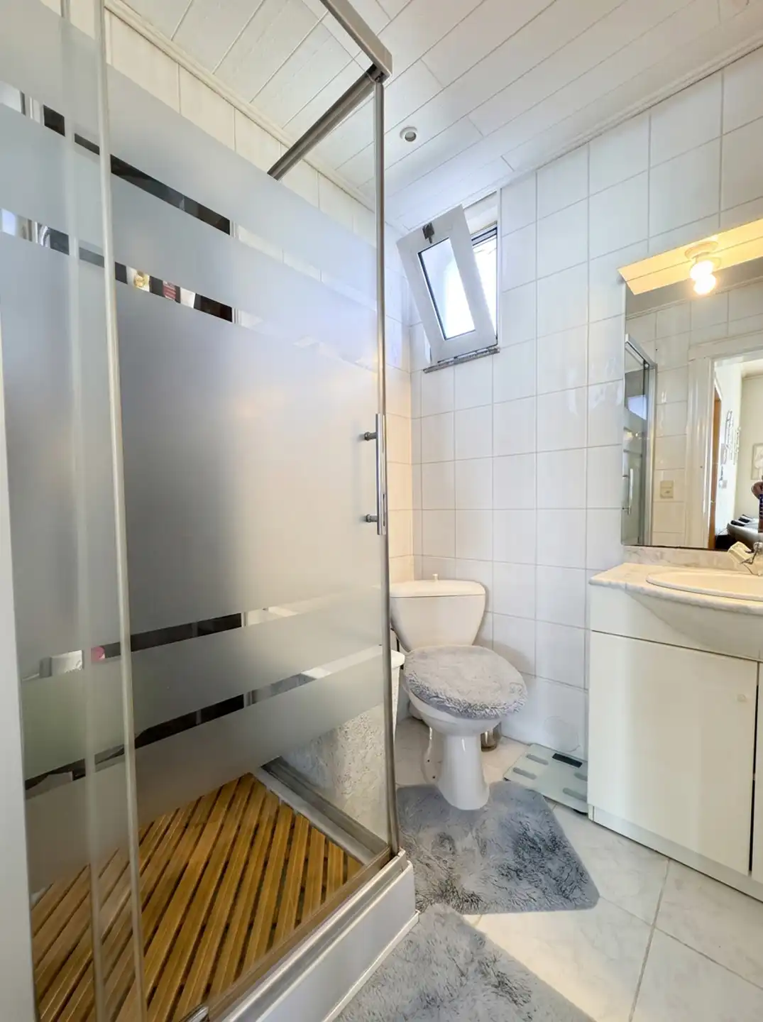 lichtrijke 1-slaapkamerappartement foto 8