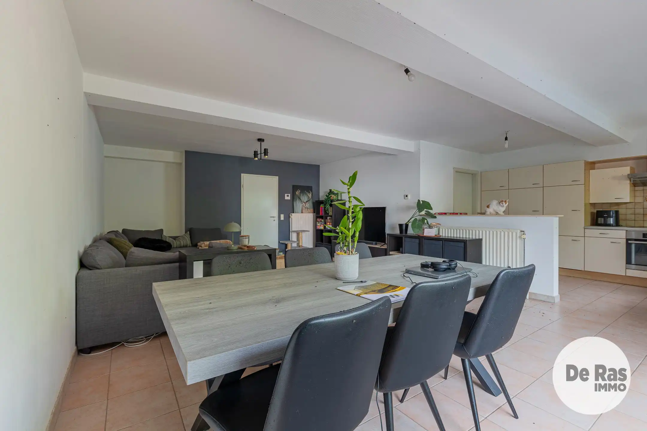 HERZELE-Schitterend 2-kamer App van 118m³ met terras/garage foto 5