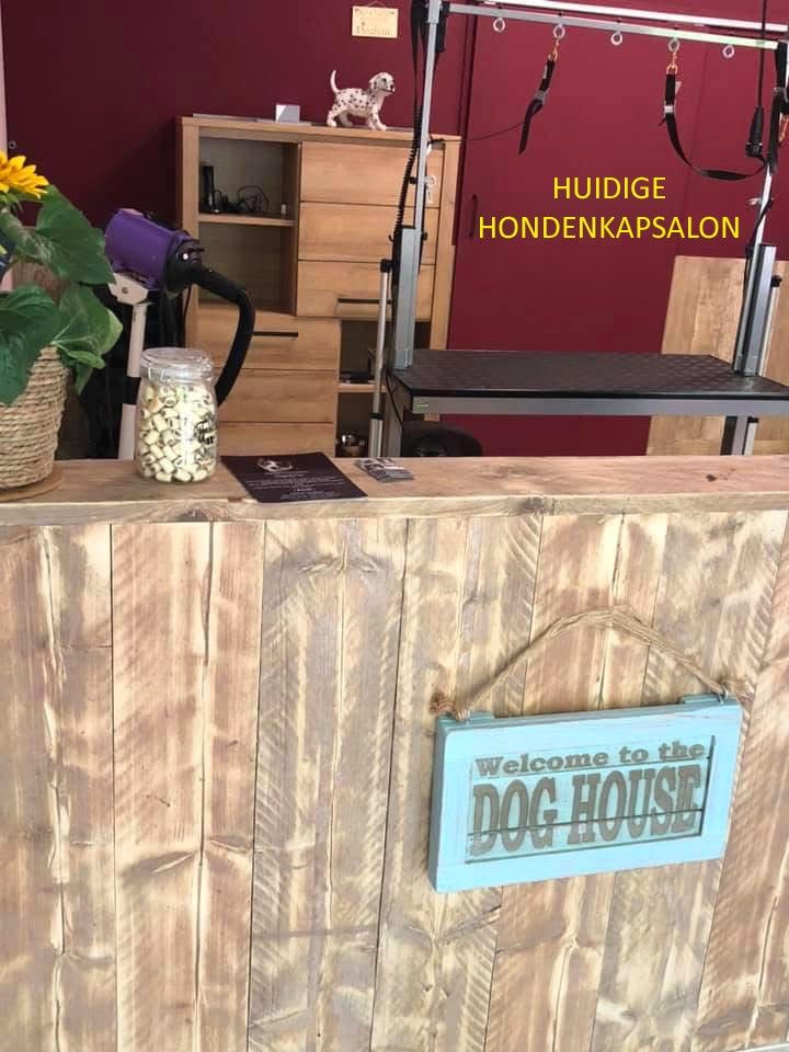 gezellige woning met WEIDE, paardenstallen en PRAKTIJKRUIMTE foto 15
