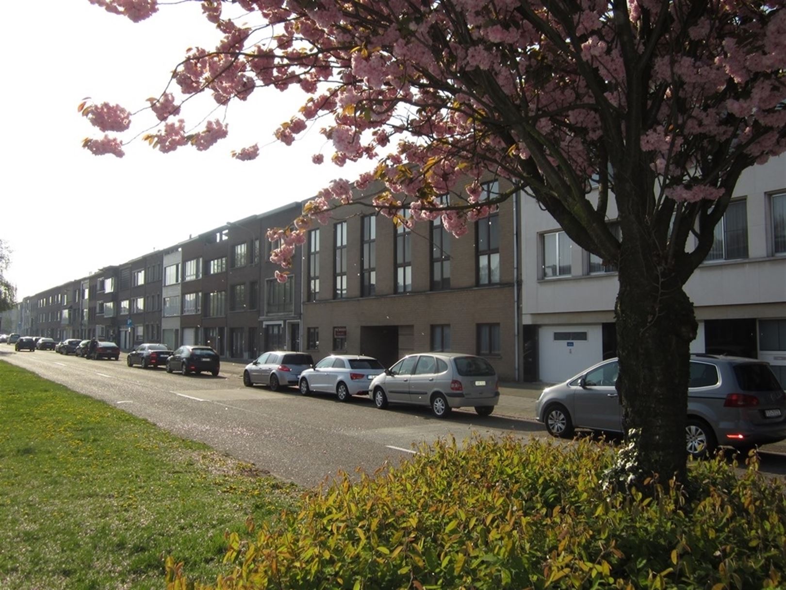 Investeringsopportuniteit: gebouw met 7 appartementen en 16 garages foto 1