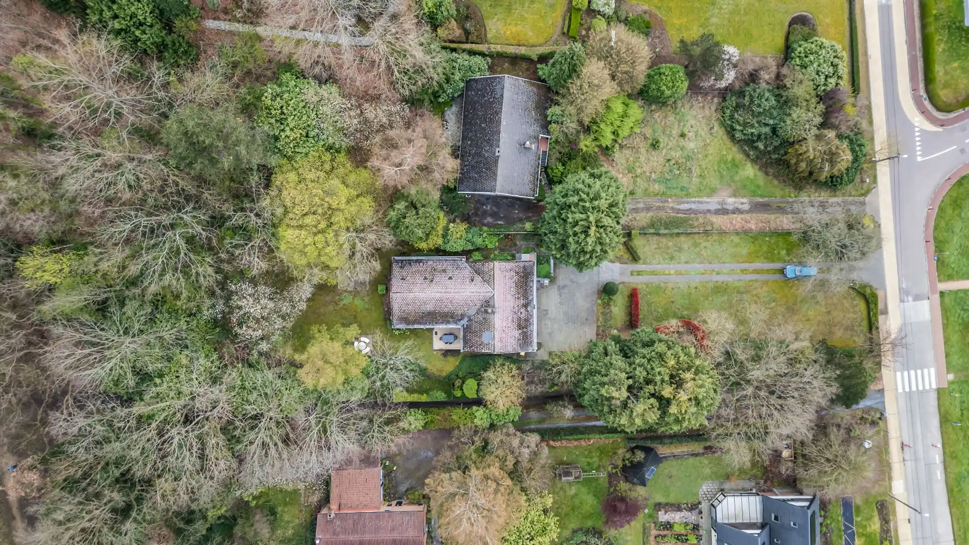 LINDEN - 🌳 villa op +1900 m2 foto 2