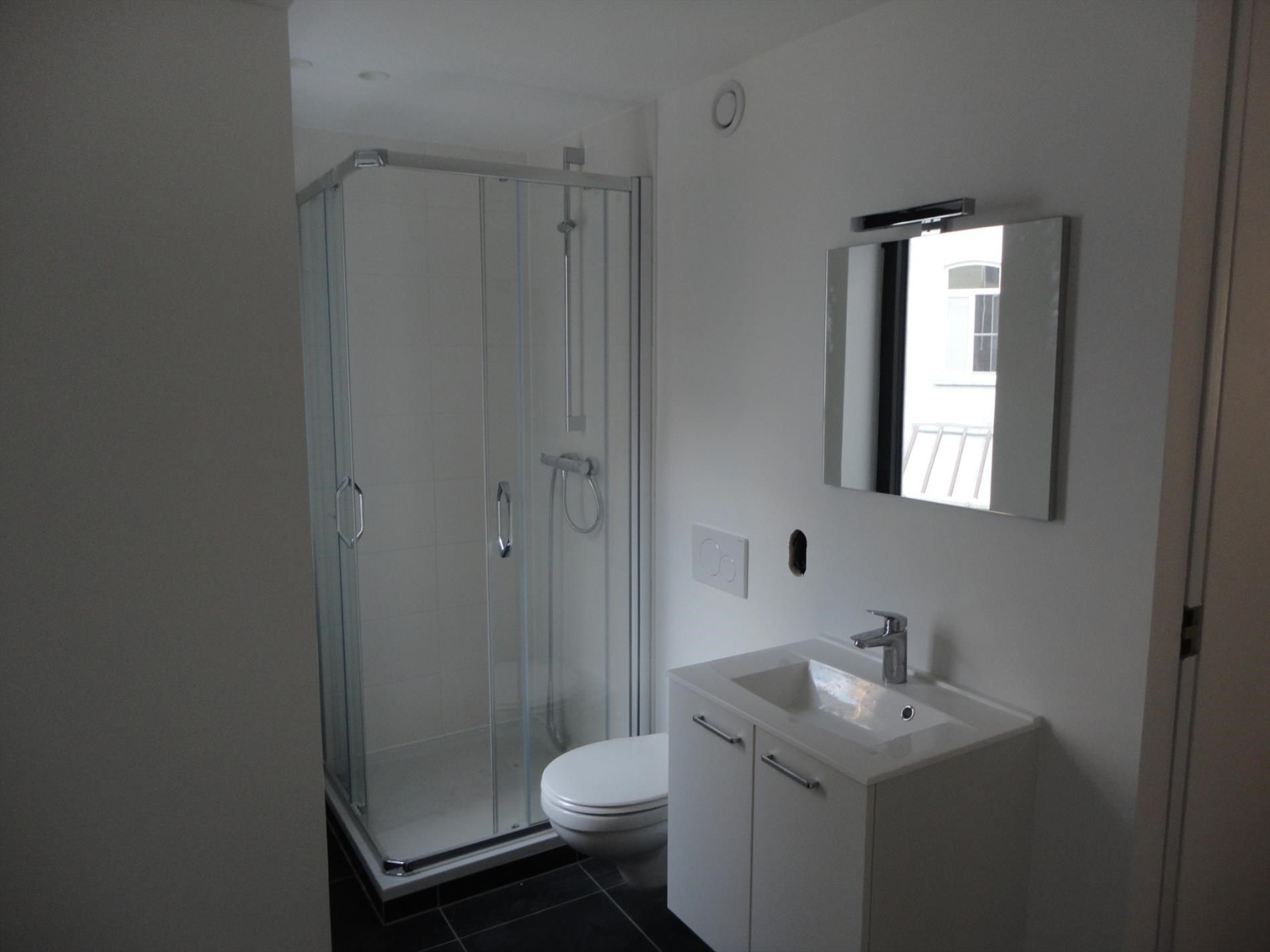 Volledig vernieuwd dakappartement met terras aan de Zuid in Gent foto 11