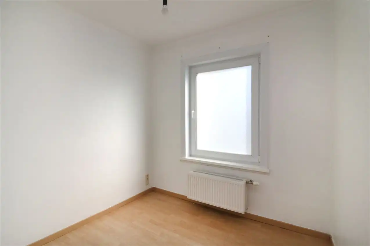 charmant, ruim, mogelijkheid beroep of kangoeroe foto 19