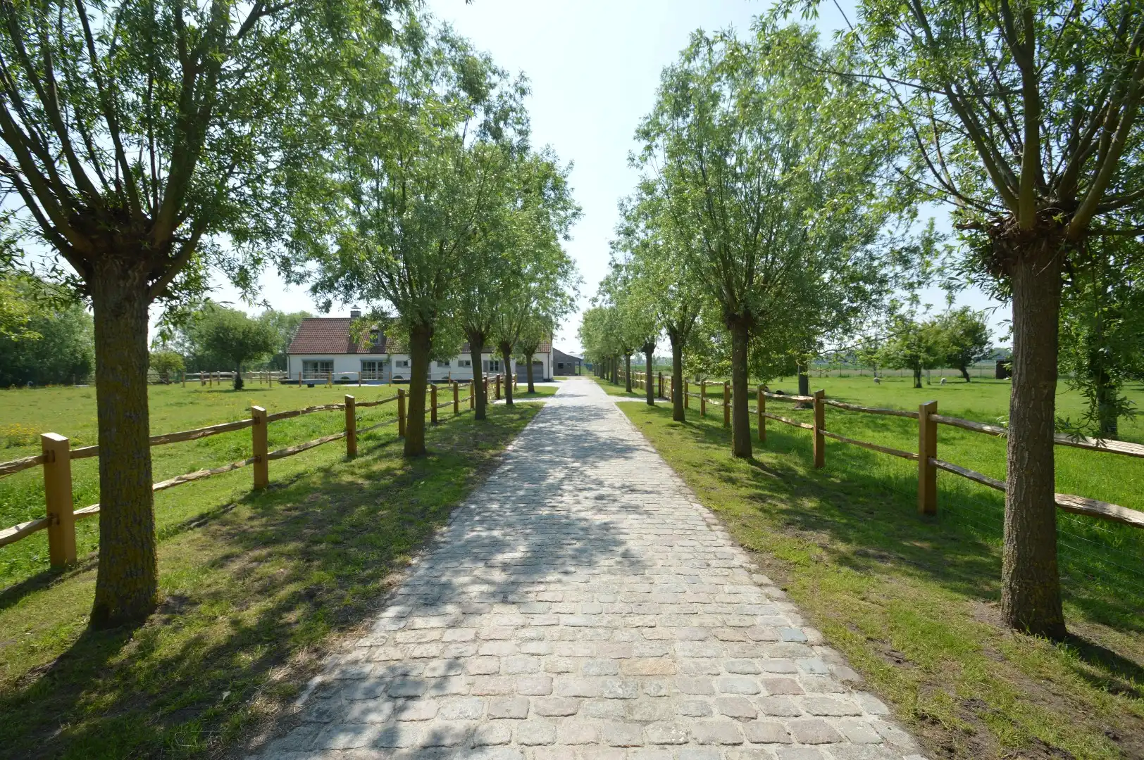 Karaktervolle hoeve met panoramisch uitzicht en paardenstallen, vlakbij Knokke foto 13
