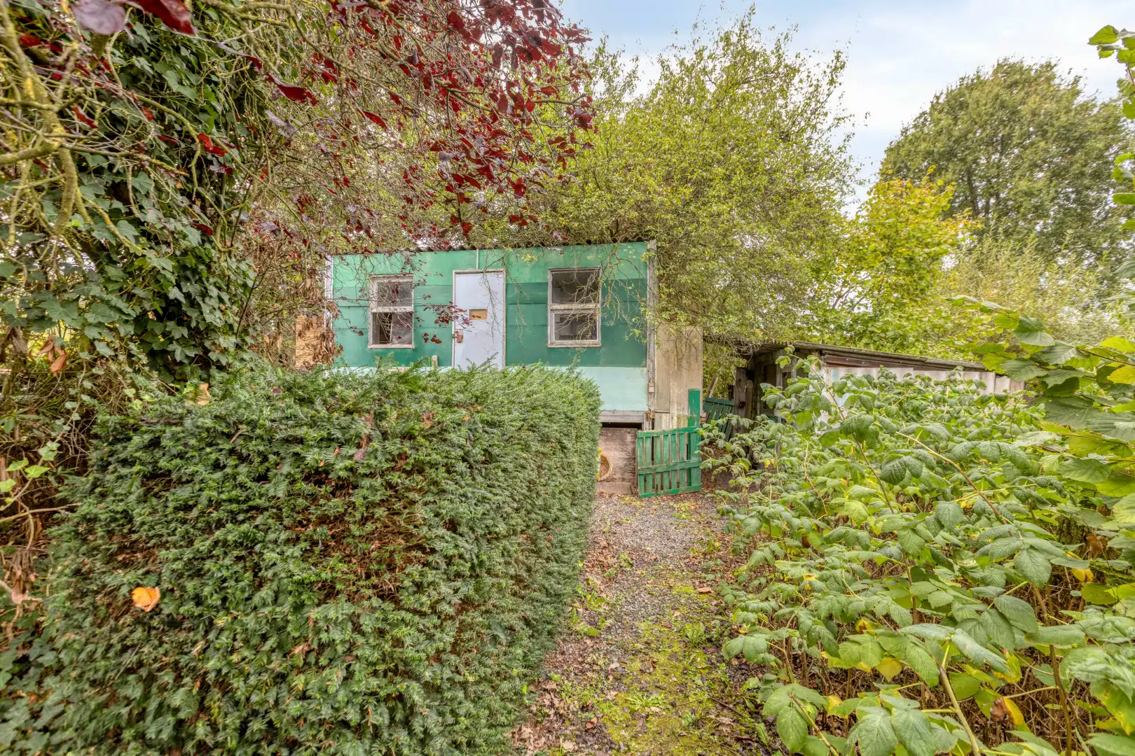 Te renoveren woning met 3 slaapkamers en ruime tuin op 1.065 m² te OLV Olen !  foto 24