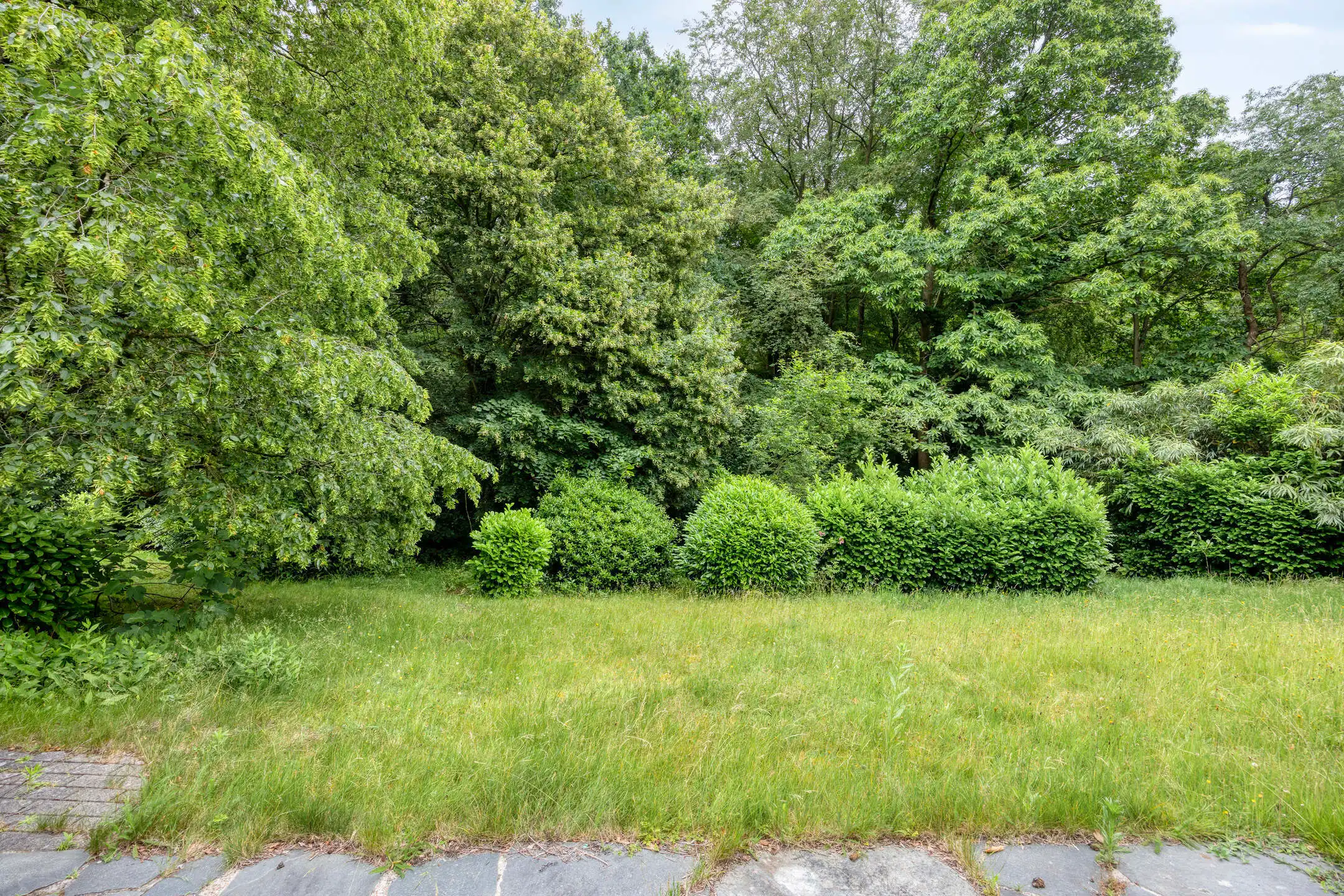 Te koop foto 23