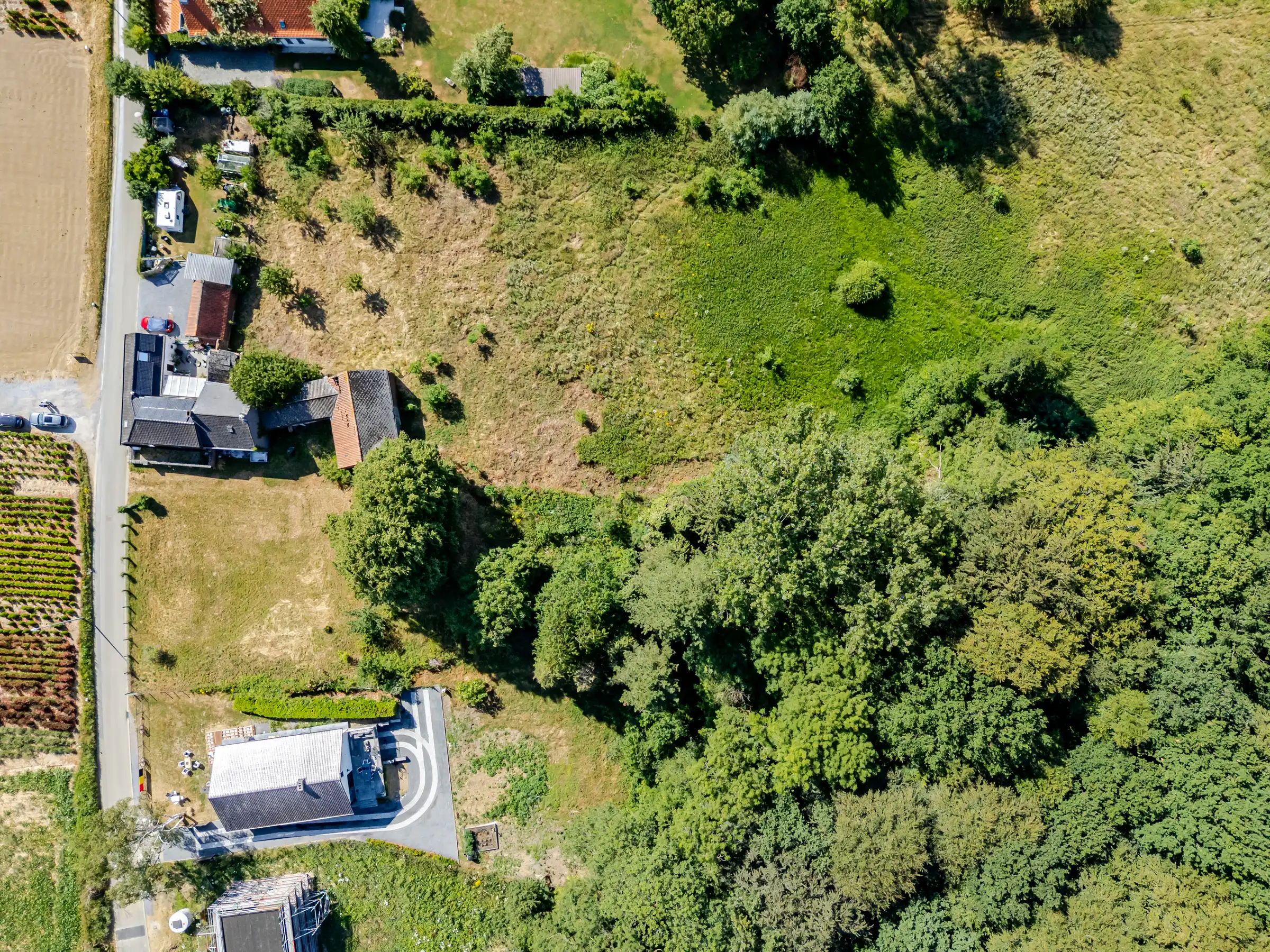 Uitzonderlijke bouwgrond met 14.220 m² aan de Kanarieberg foto 9
