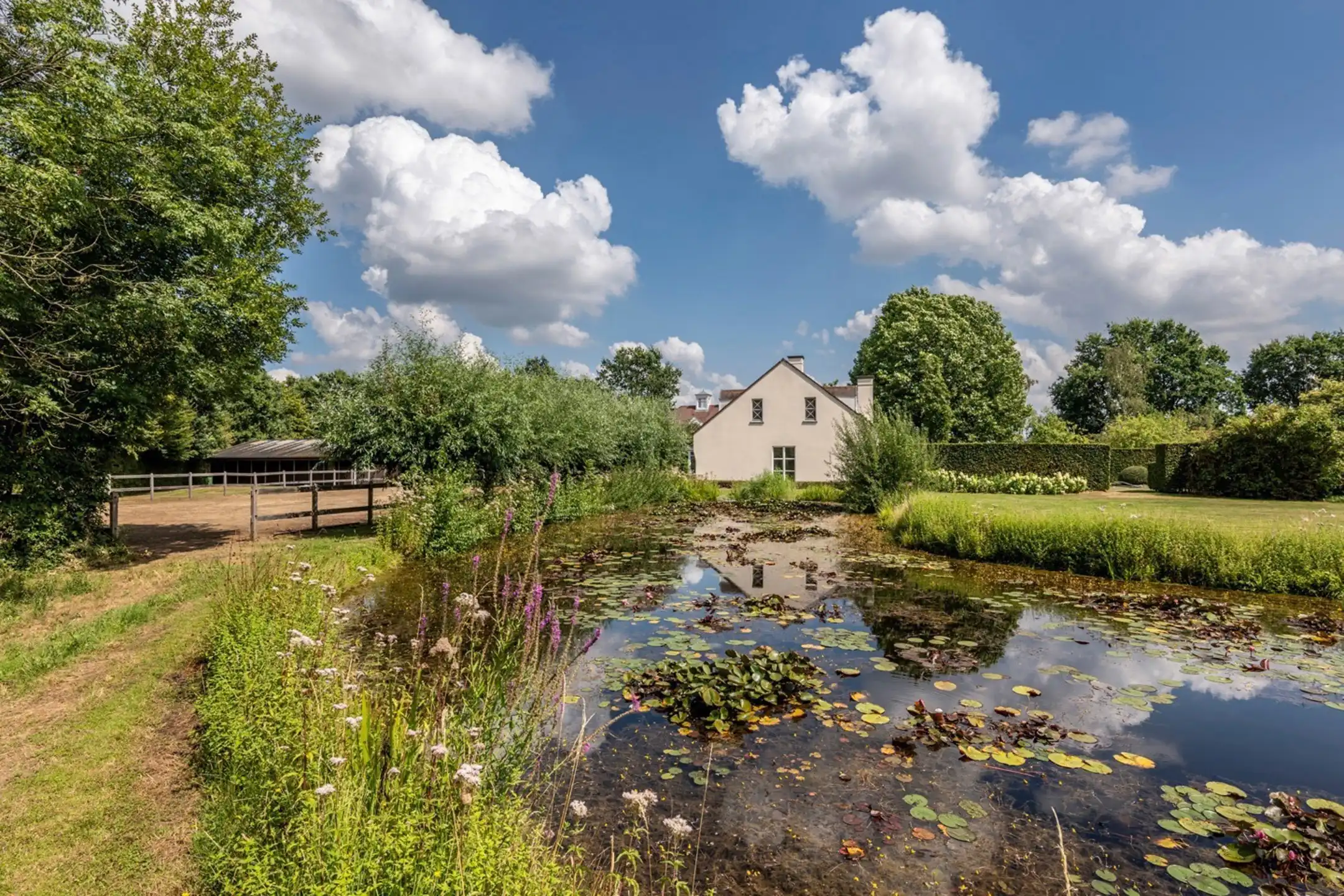 Uniek landgoed op ca. 1,78ha met paardenaccommodatie foto 29