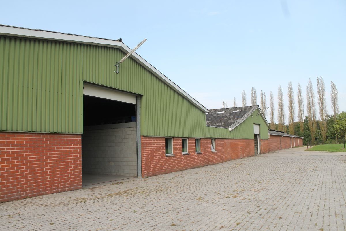 Kalverhouderij + paardenhouderij op ca. 1,5 ha te koop te Ravels foto 3