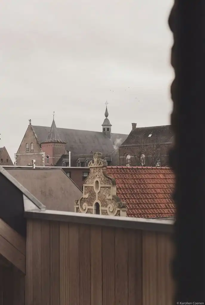 Luxe duplex loft op de tweede verdieping met 2(+1) slaapkamers, ruim terras en optioneel een staanplaats, gelegen in het centrum van Maaseik. foto 6