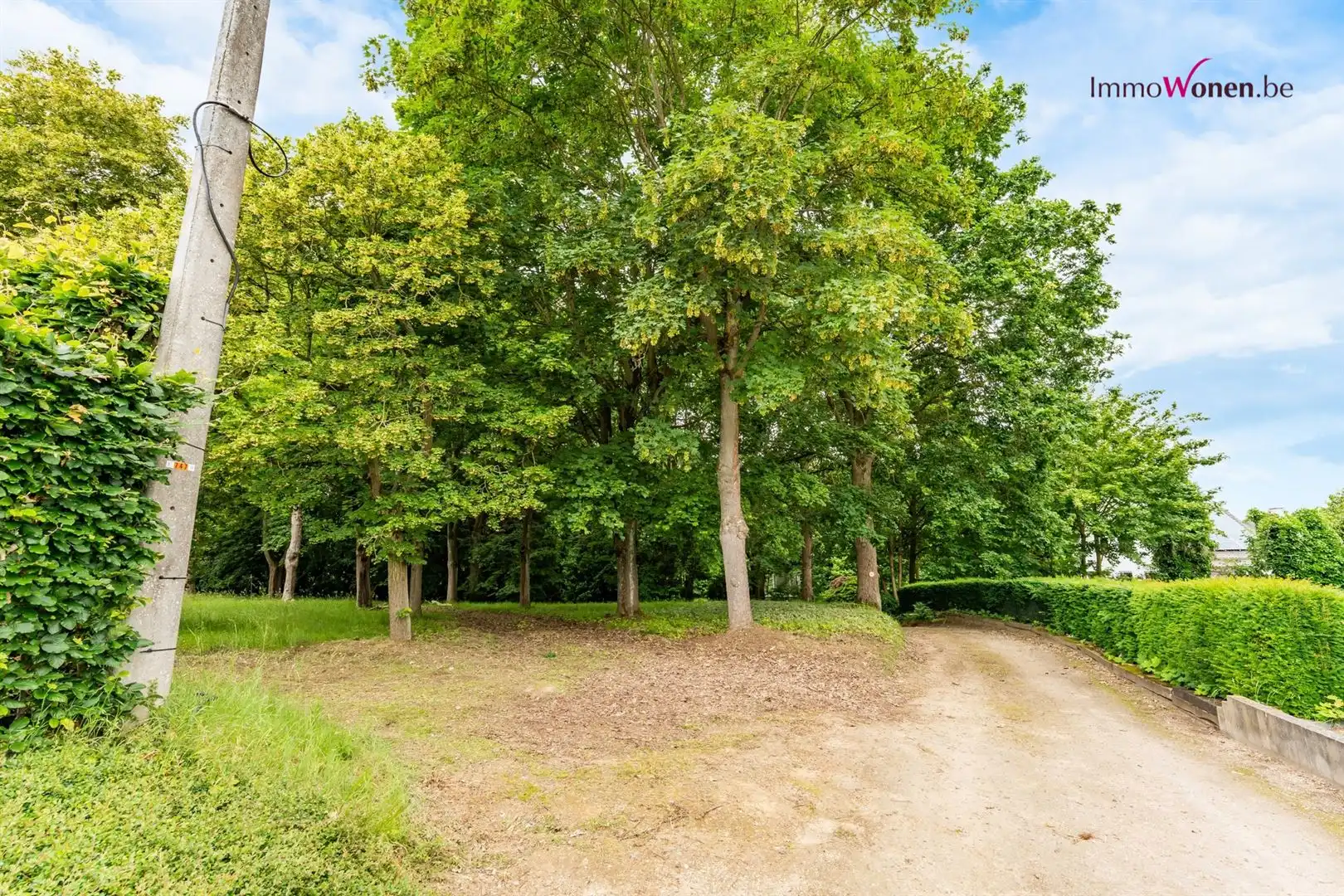  Te renoveren Klasse Woning op prachtig domein  foto 29