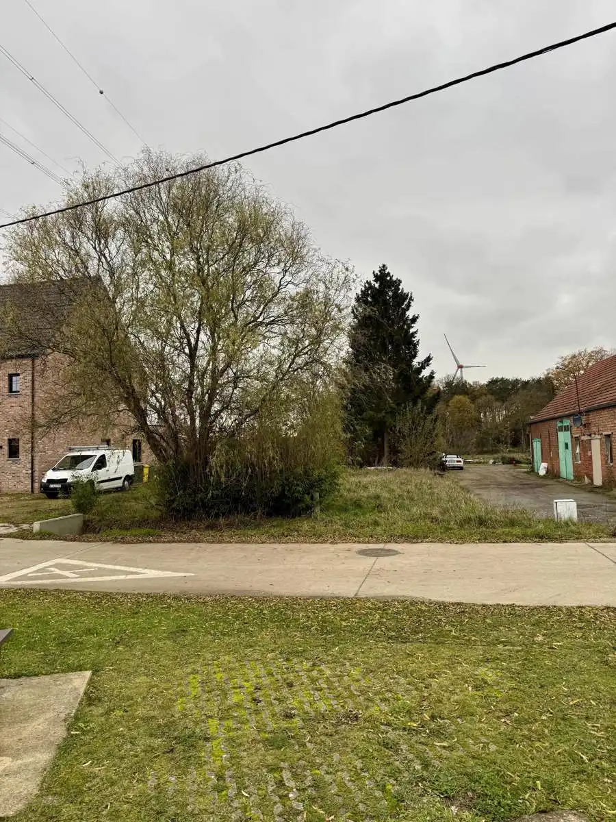 Bouwgrond voor open bebouwing met achterliggend weiland gelegen op uiterst rustige locatie te Olmen. foto 4