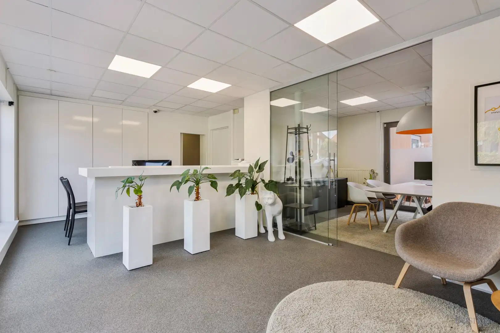 Handelspand te koop in het centrum van Tessenderlo foto 2