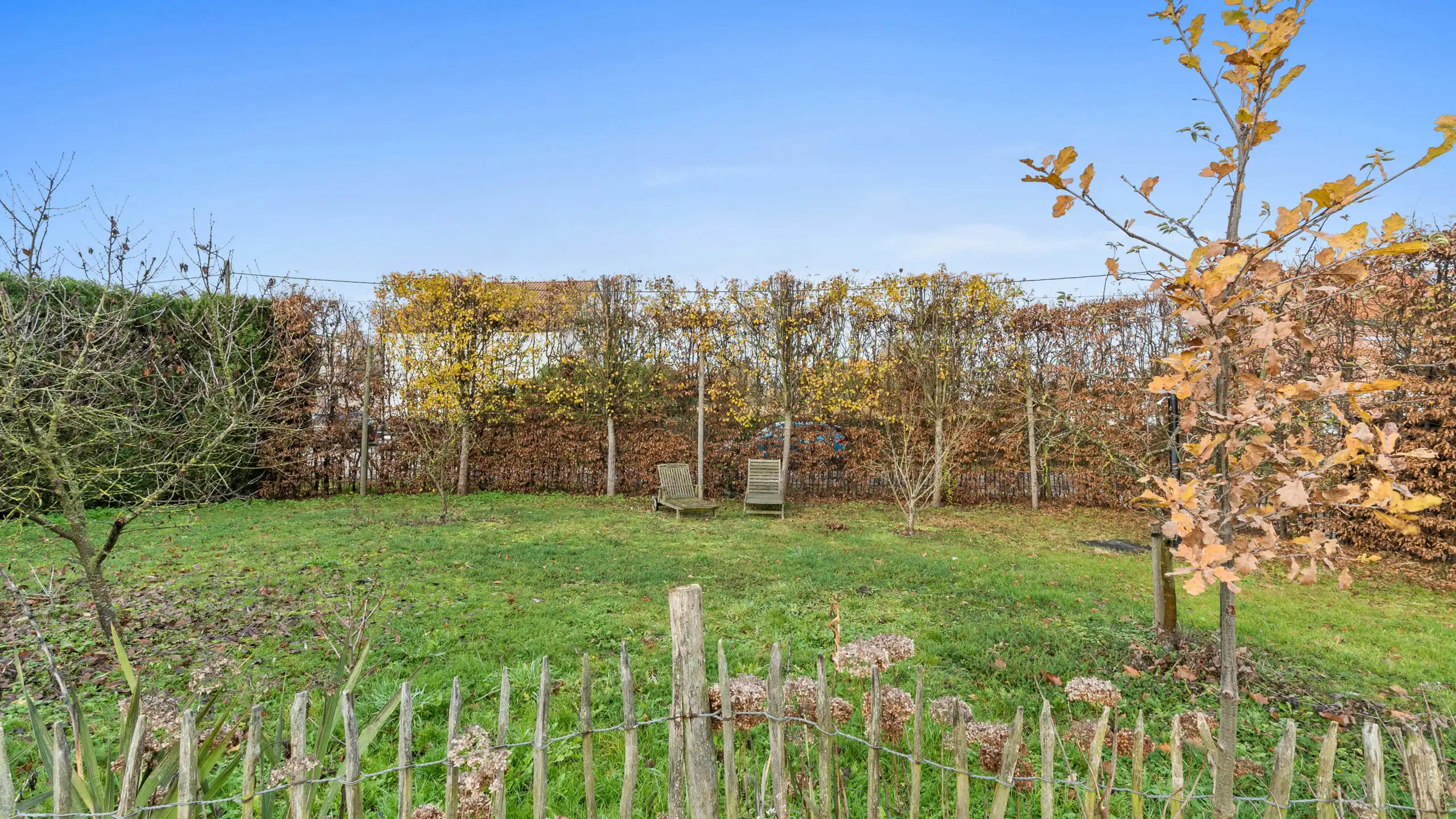 Boerderij te koop foto 9