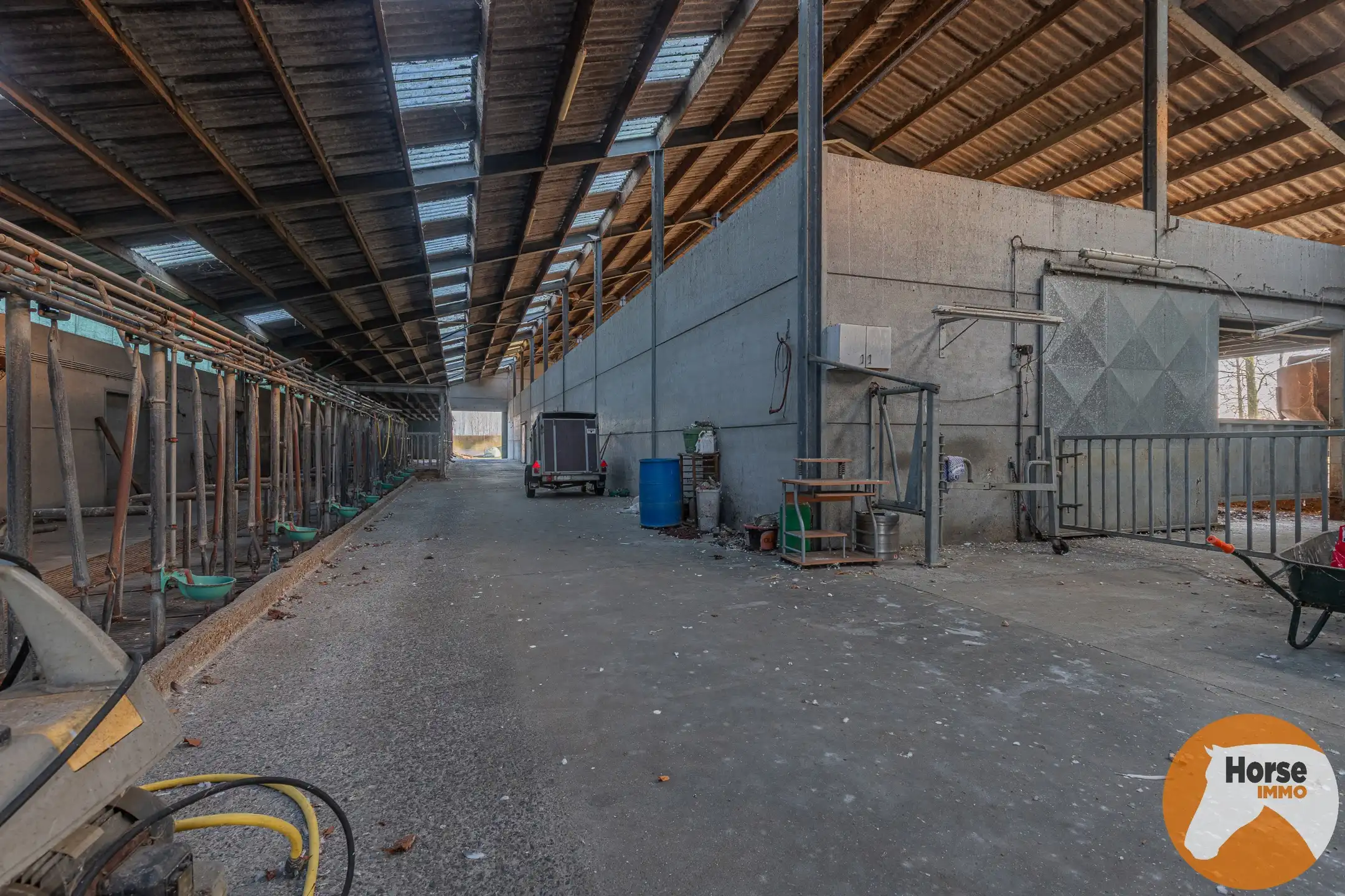 LAARNE- &nbsp;Landbouweigendom met geïntegreerde woning&nbsp; foto 17