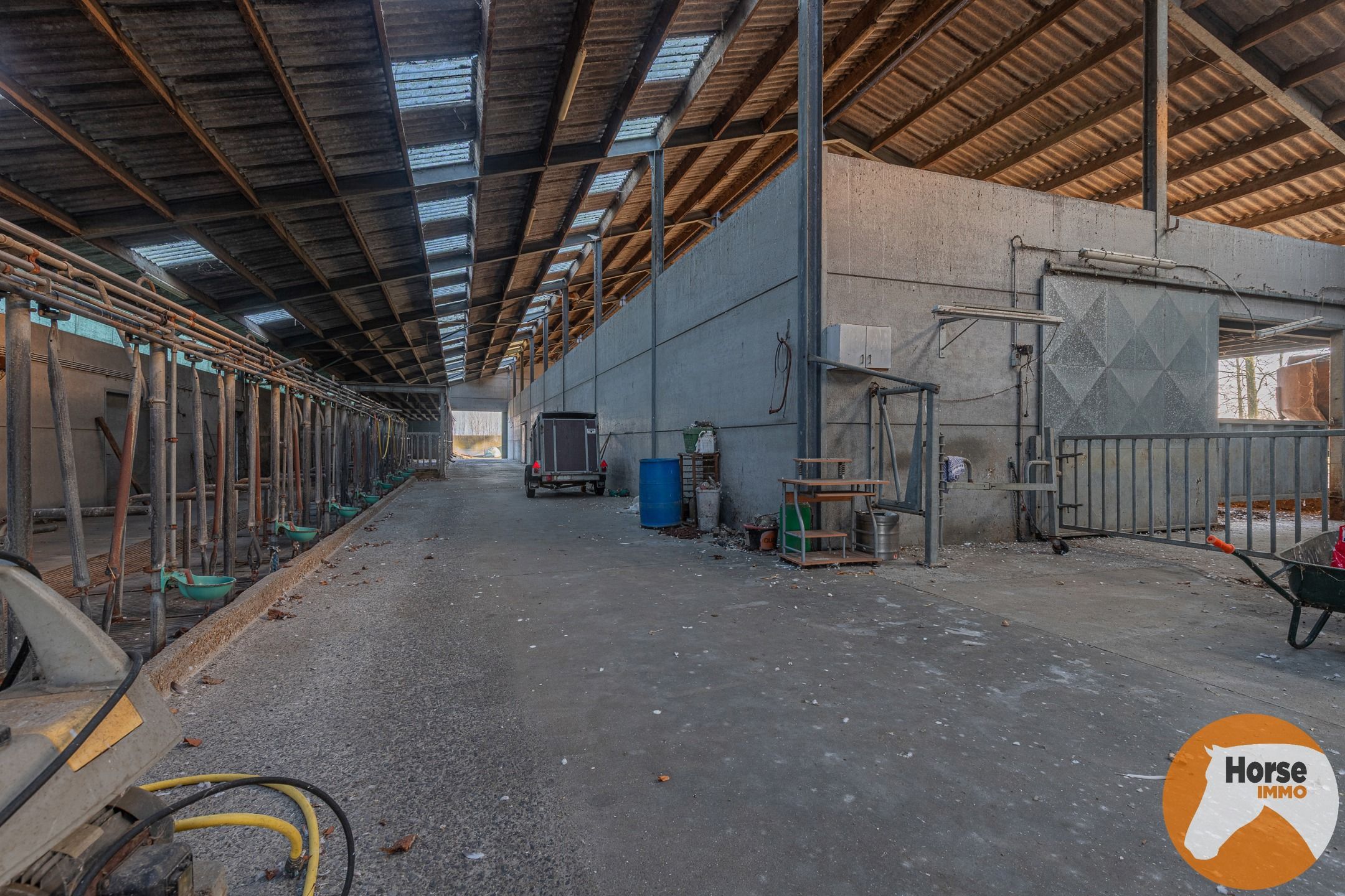 LAARNE- &nbsp;Landbouweigendom met geïntegreerde woning&nbsp; foto 17