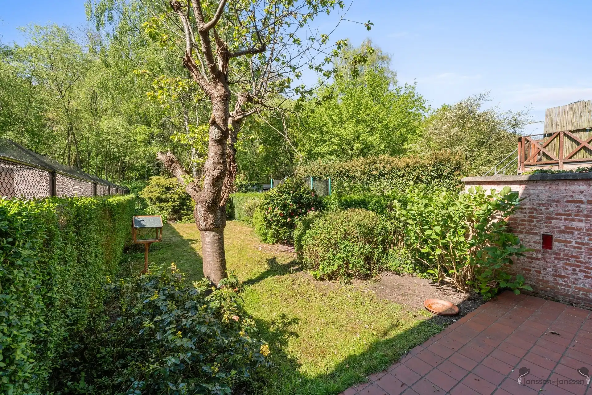 bel-etage foto 17