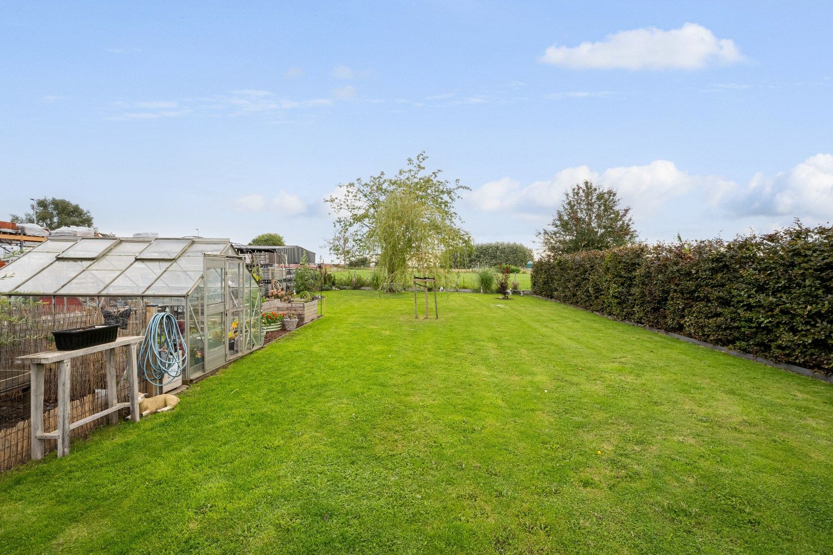 Volledig gerenoveerde solide woning met grote tuin foto 16