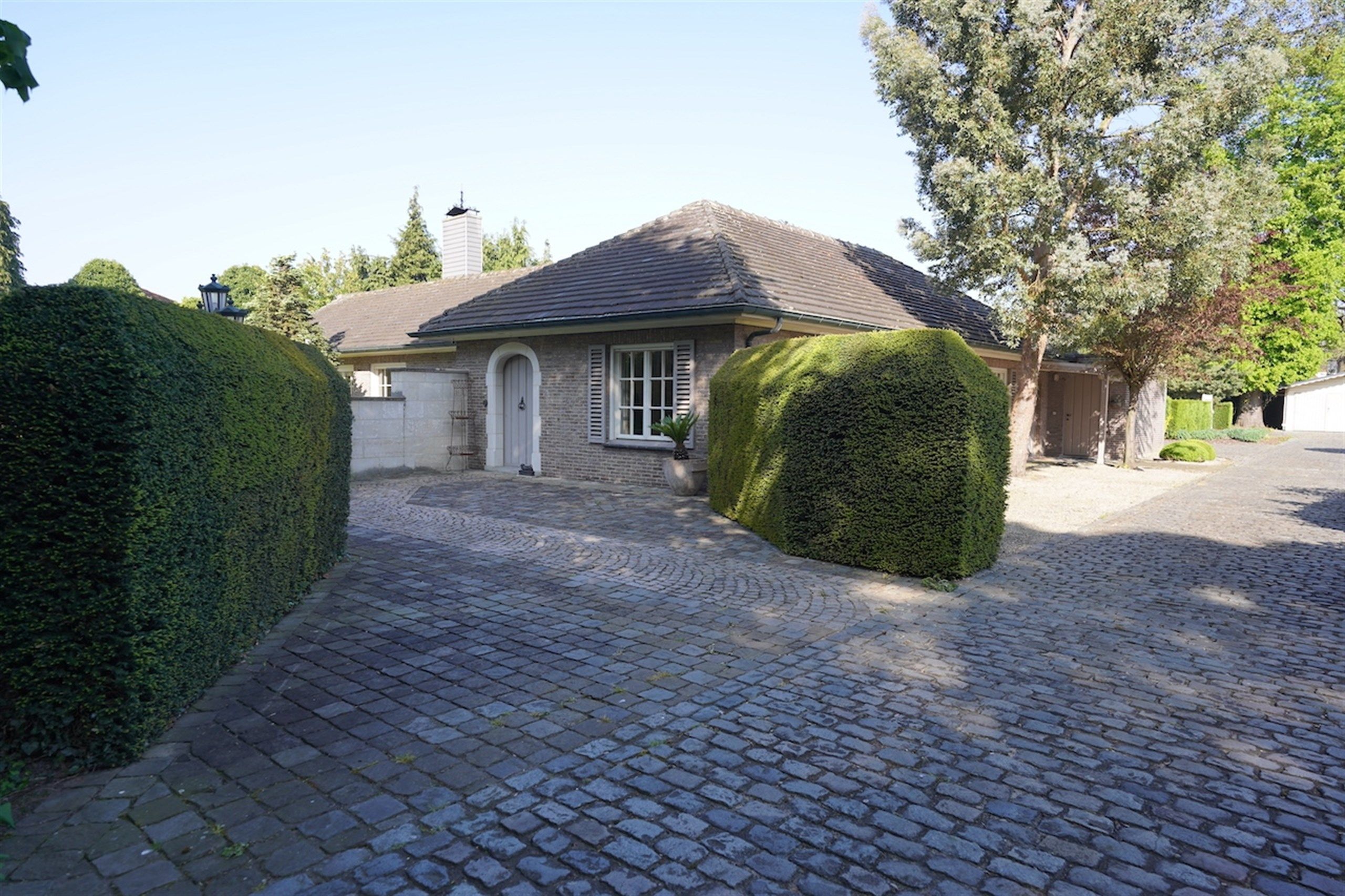 Opportuniteit! Eigendom op 1 Ha met buitengewone privileges foto 11