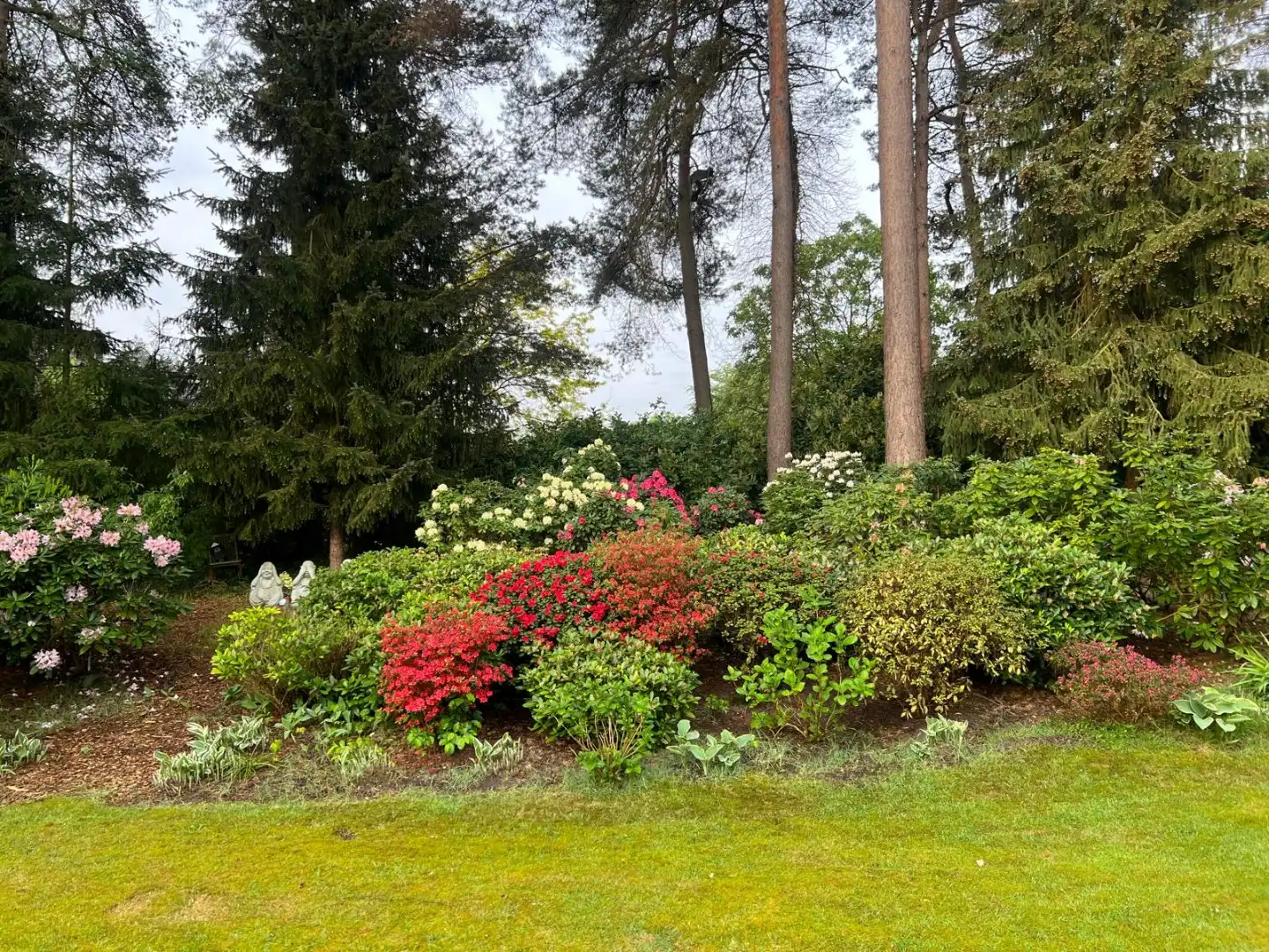  foto 24