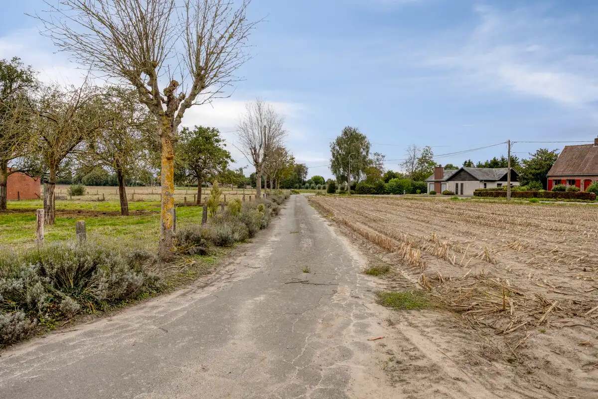 Authentieke hoeve met bijgebouwen in Baliebrugge op een oppervlakte van 7937 m² foto 4