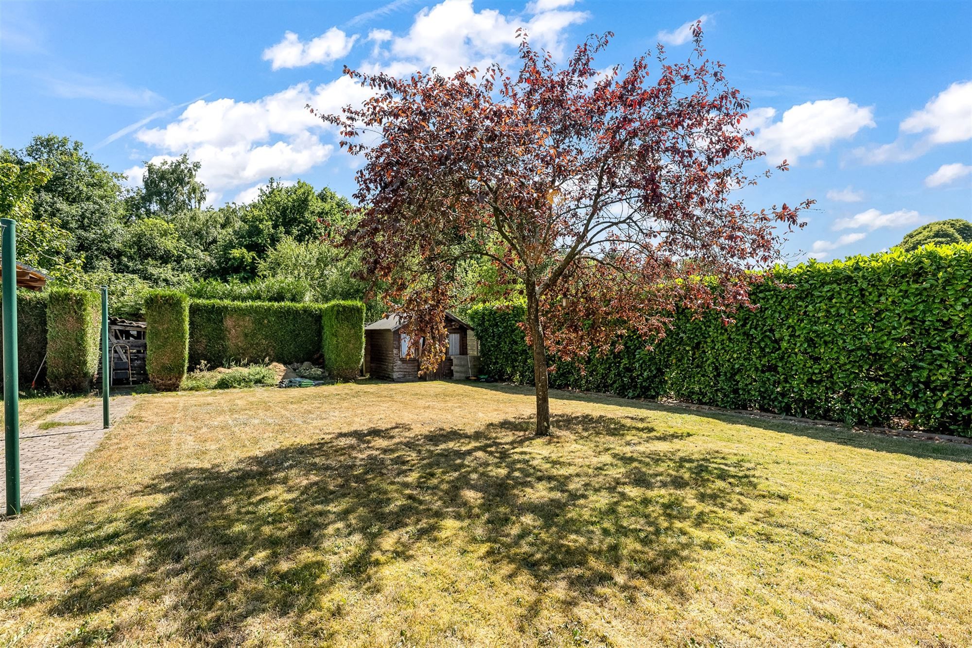 Huis foto 25