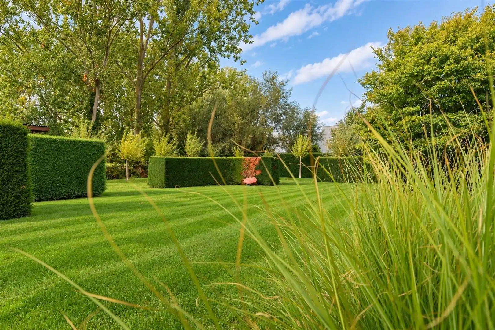 RUIME OPEN BEBOUWING OP EEN PERCEEL VAN 2.810 M² VEEL POTENTIEEL EN PRACHTIGE TUIN foto 16