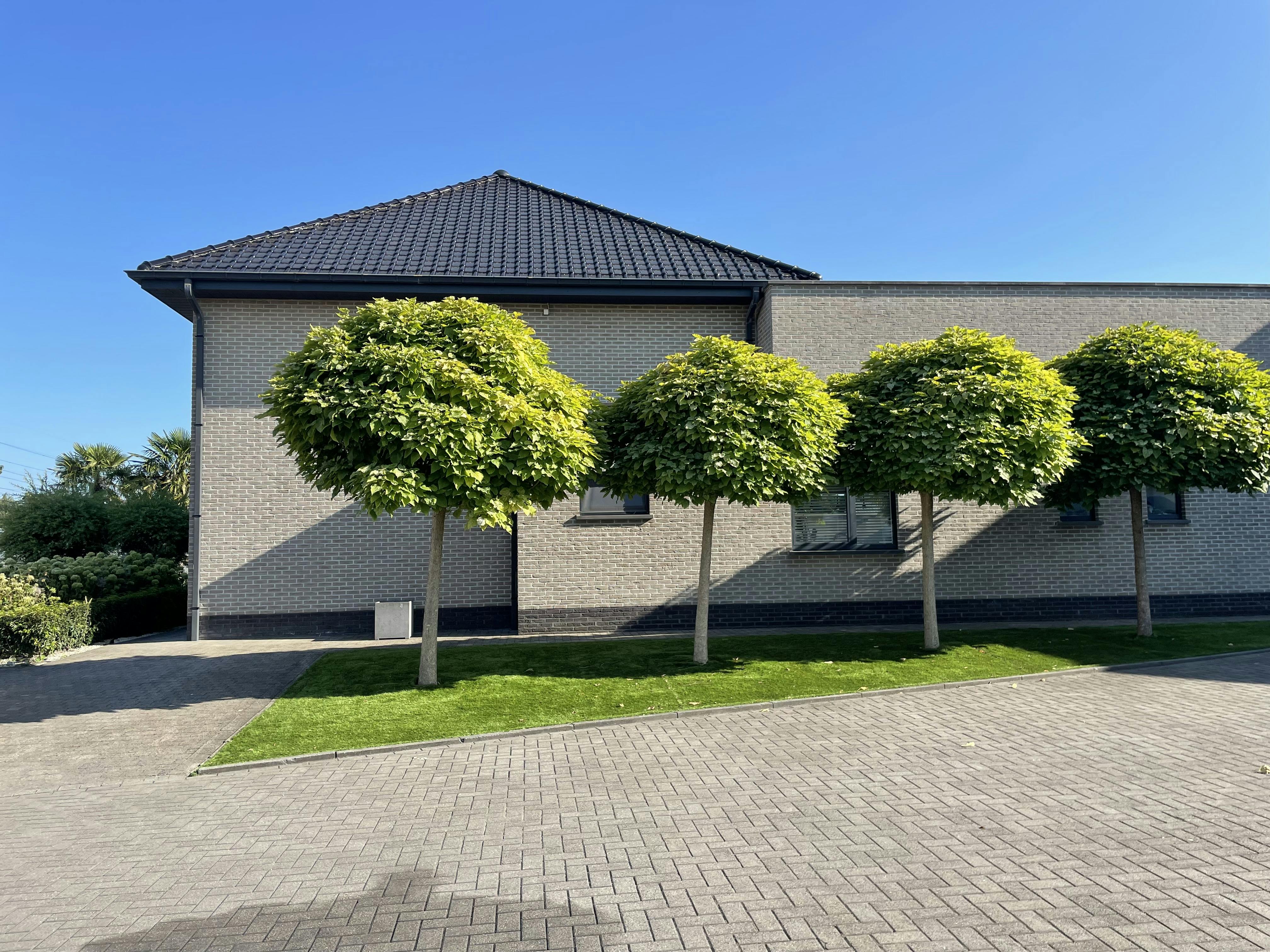 Luxe villa met exclusieve tuin en magazijn in KMO-zone foto 81